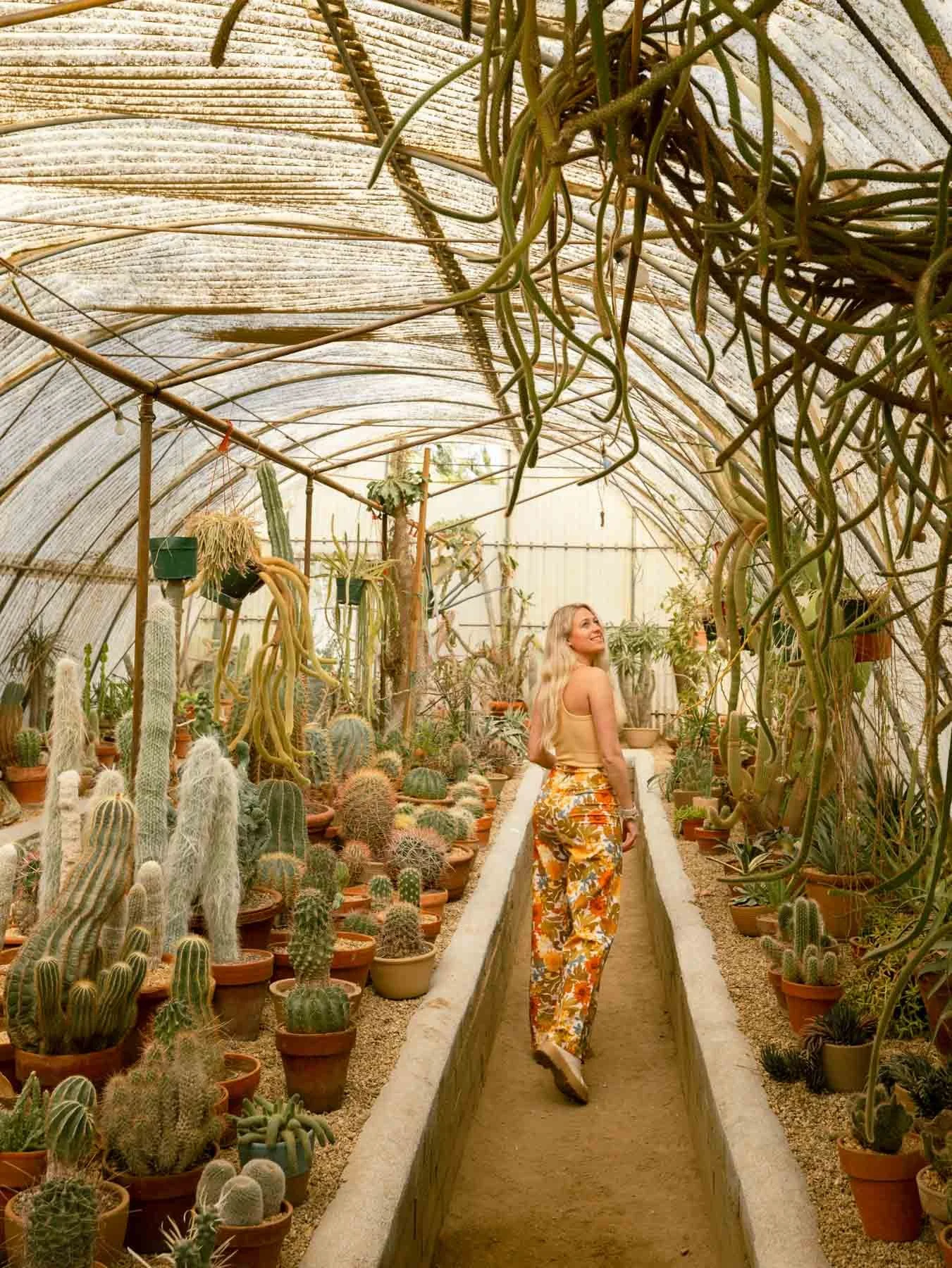 Places to Visit in California in Spring