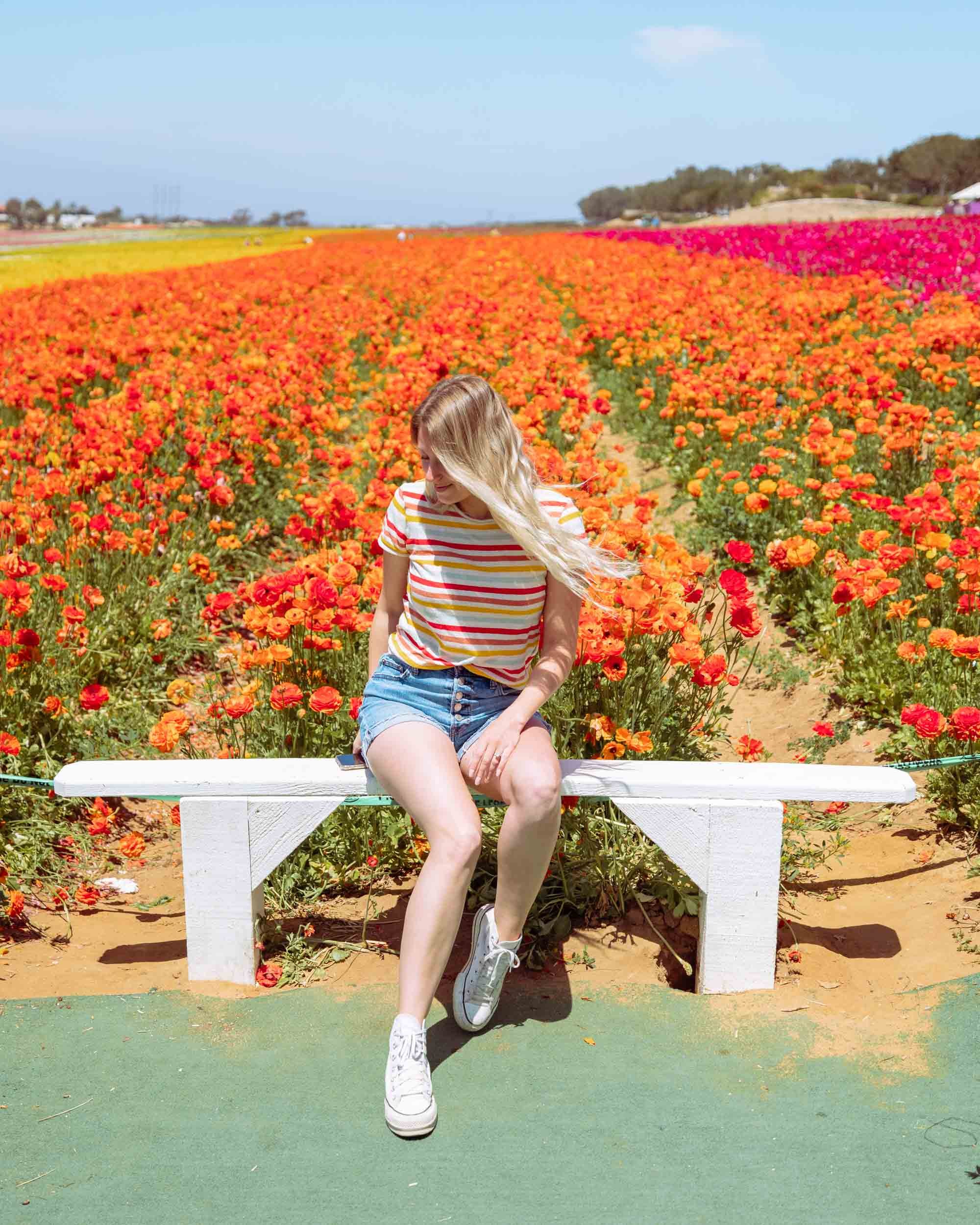 Places to Visit in California in Spring