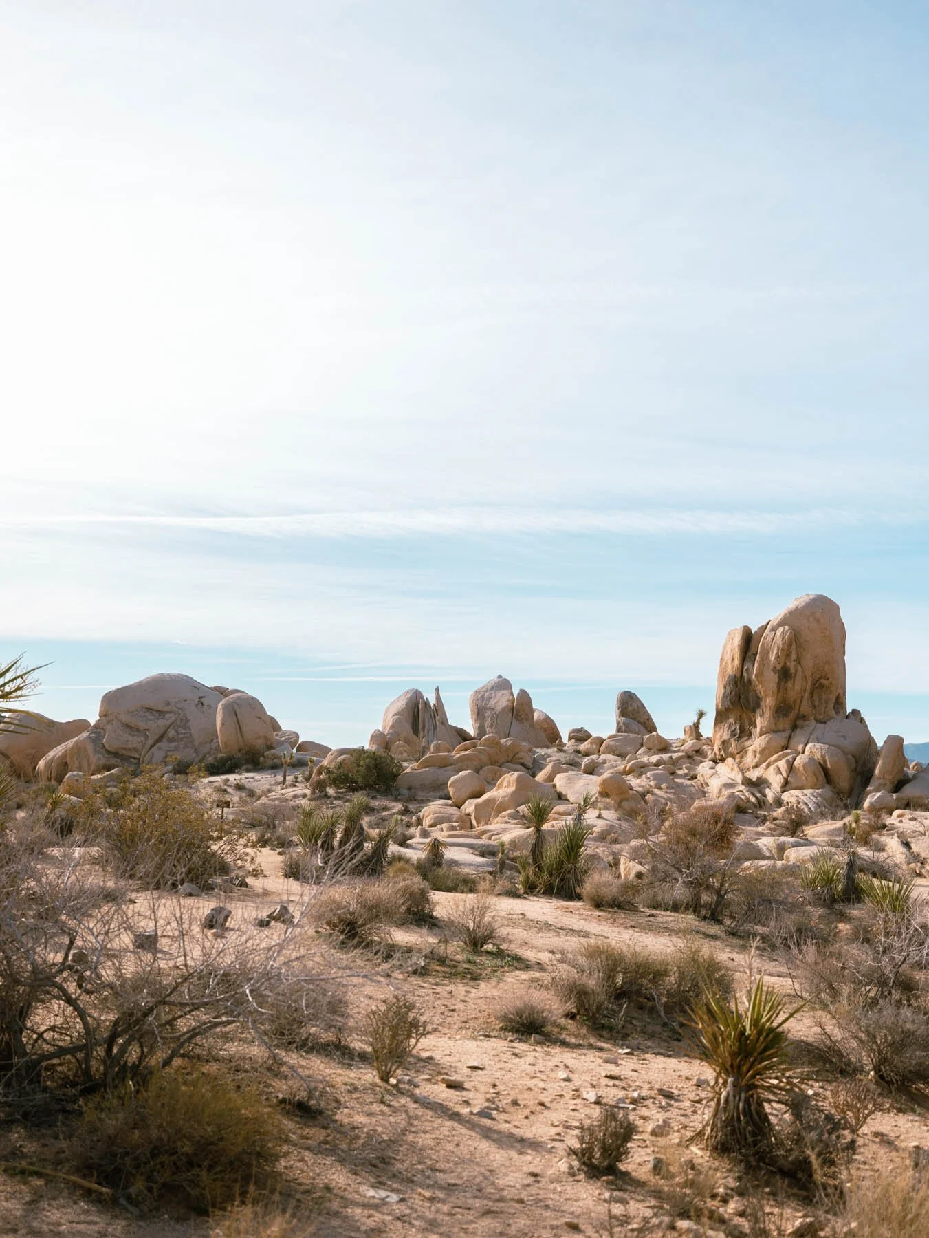 Places To Visit in California in Spring