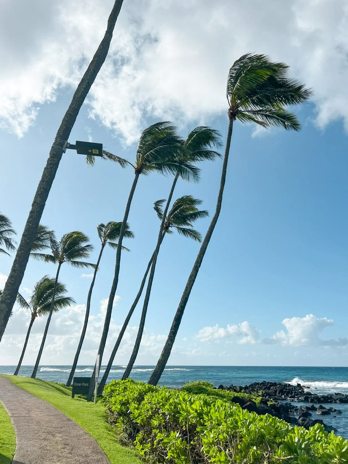 Where To Stay in Kauai: Best Areas on the Island