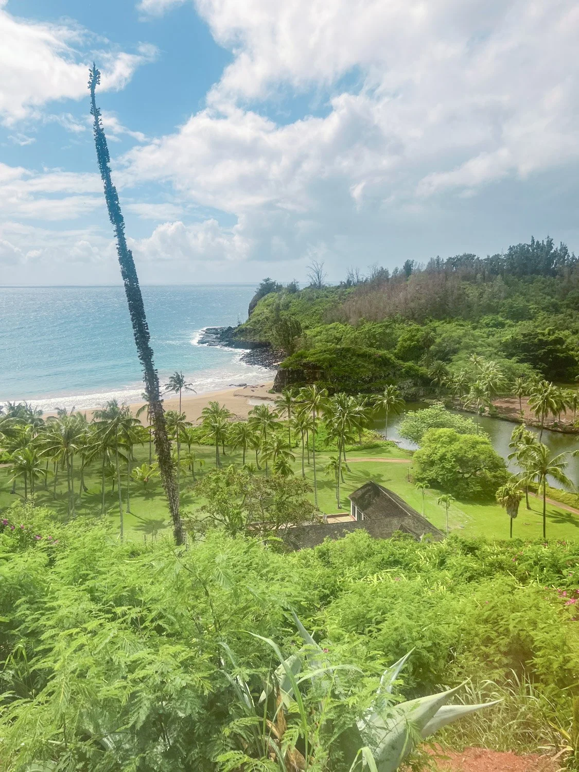 Where To Stay in Kauai: Best Areas on the Island
