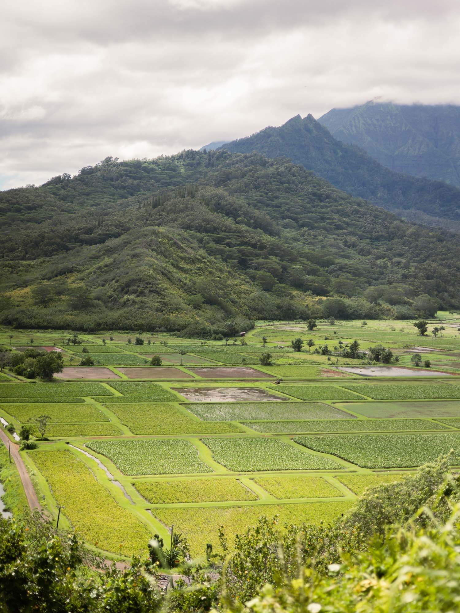 Where To Stay in Kauai: Best Areas on the Island