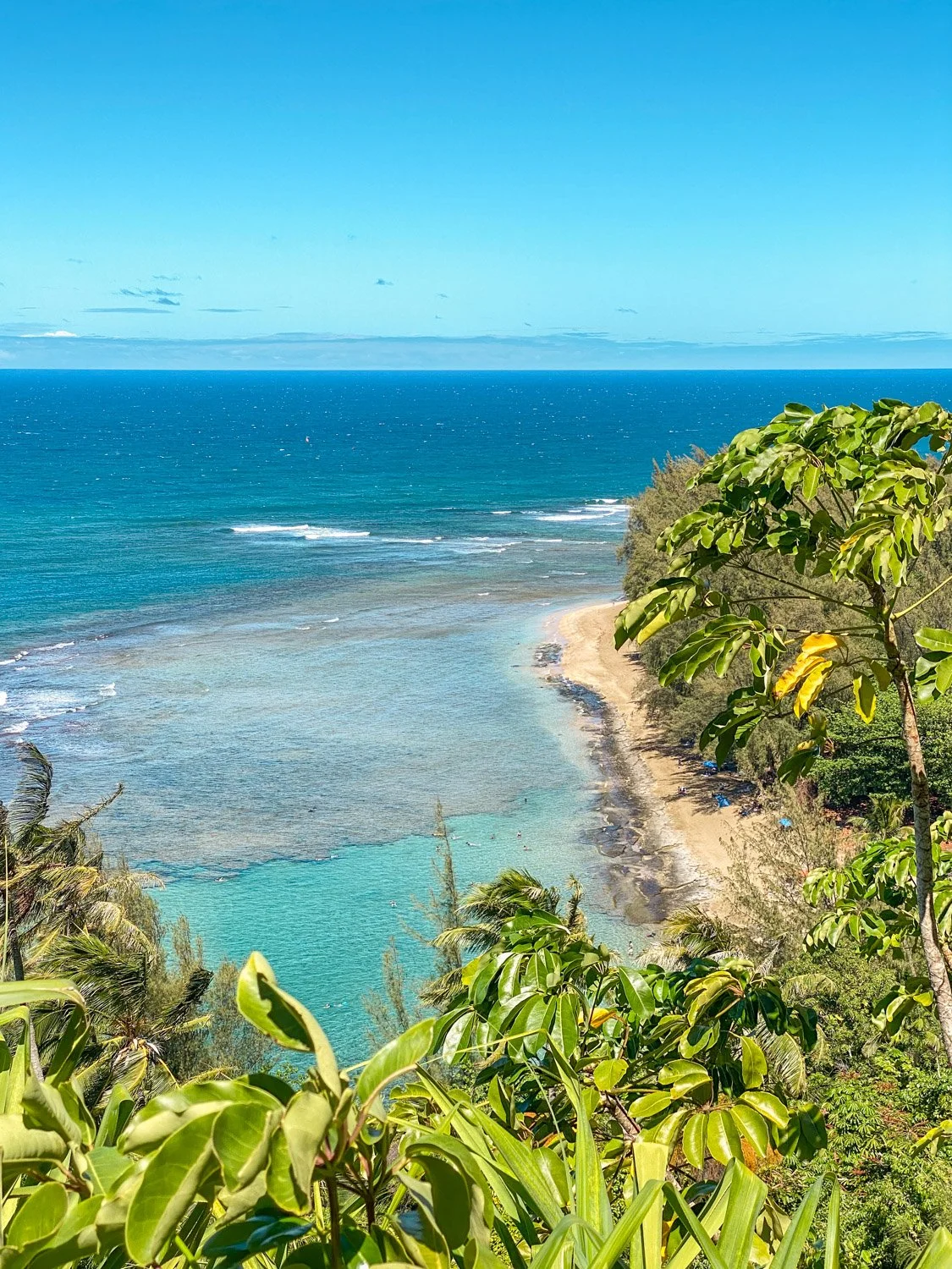  The Essential Kauai Travel Guide