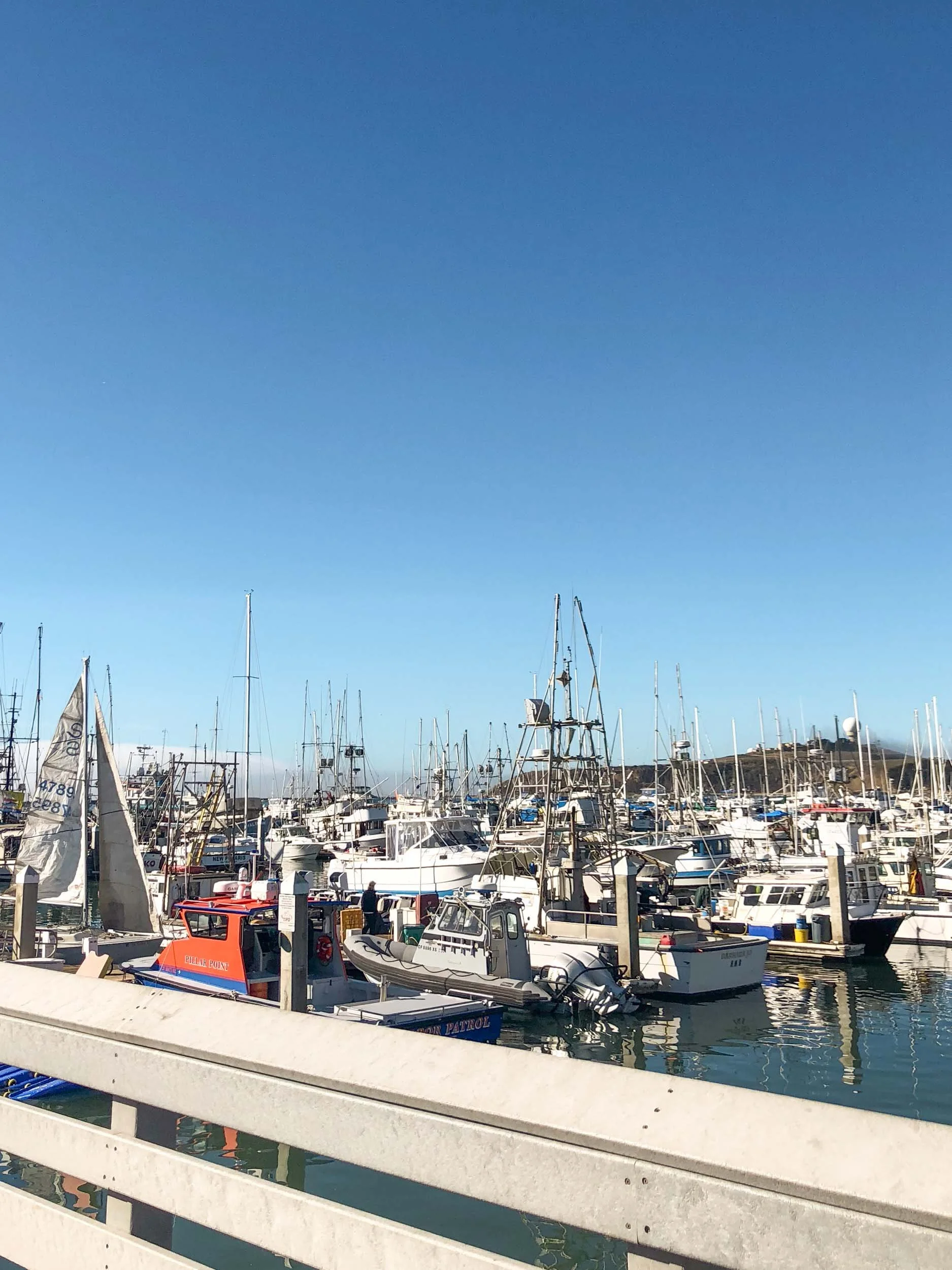 Best Things To Do in Half Moon Bay