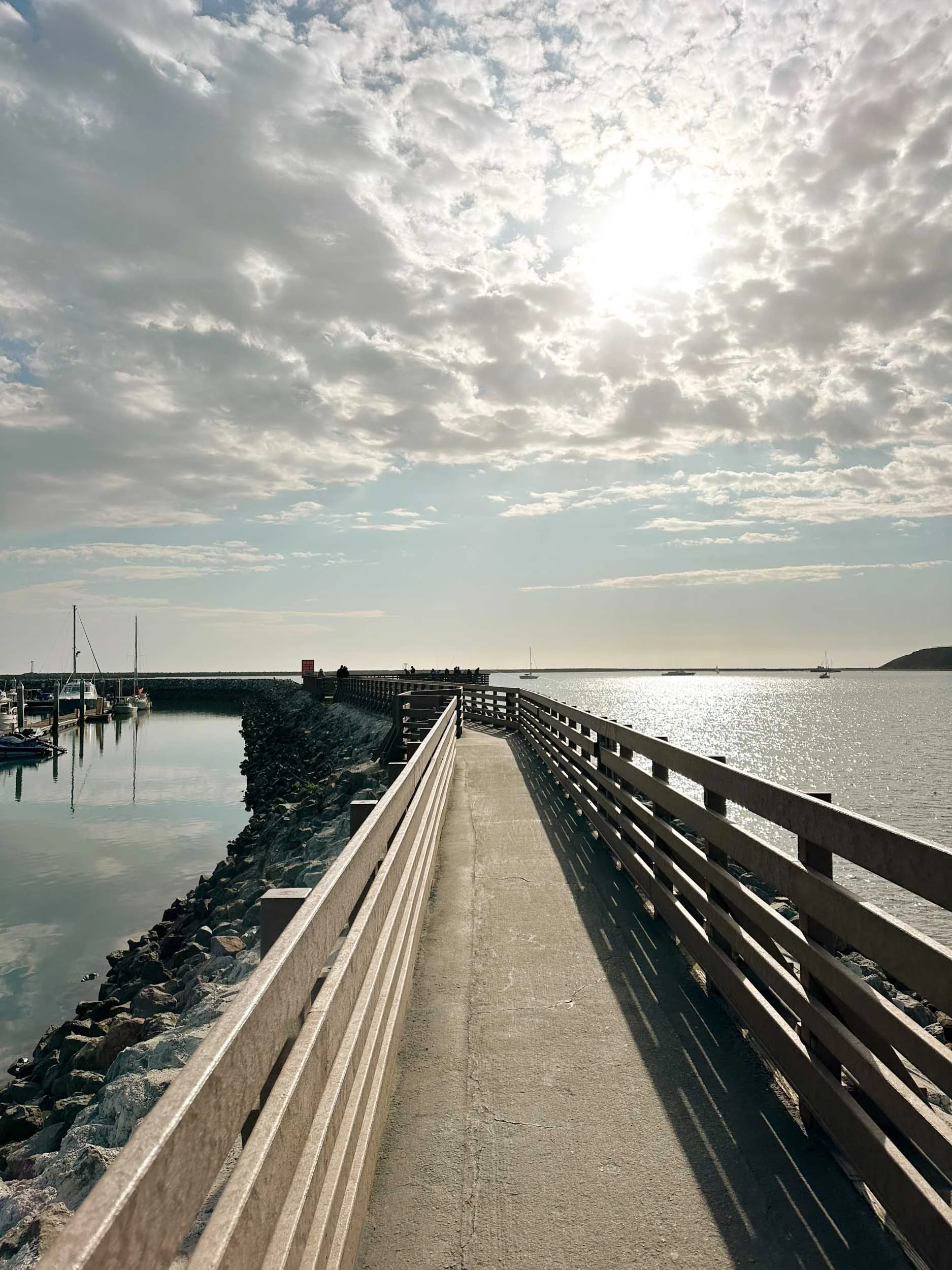 Best Things To Do in Half Moon Bay