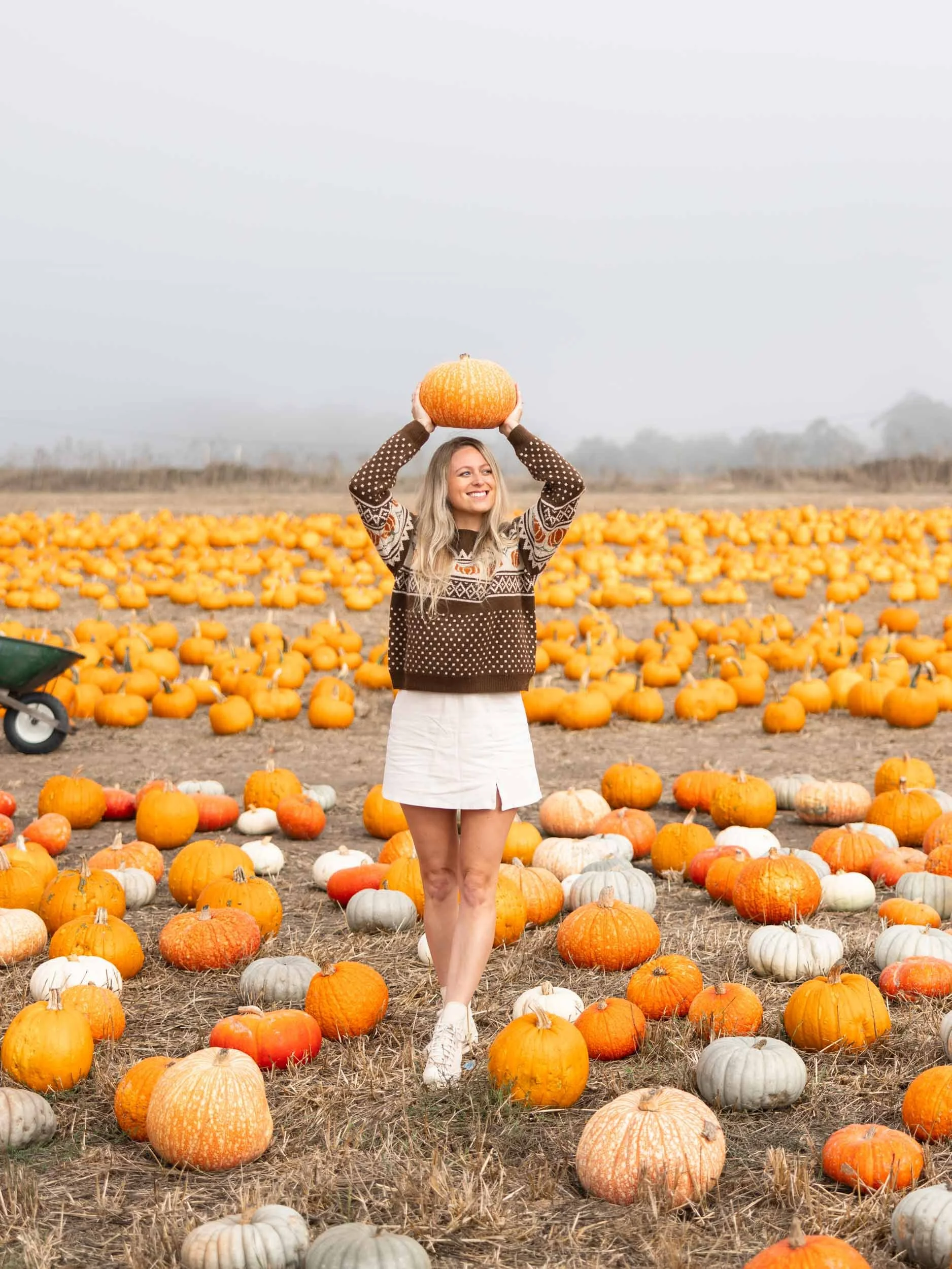 Best Things To Do in Half Moon Bay