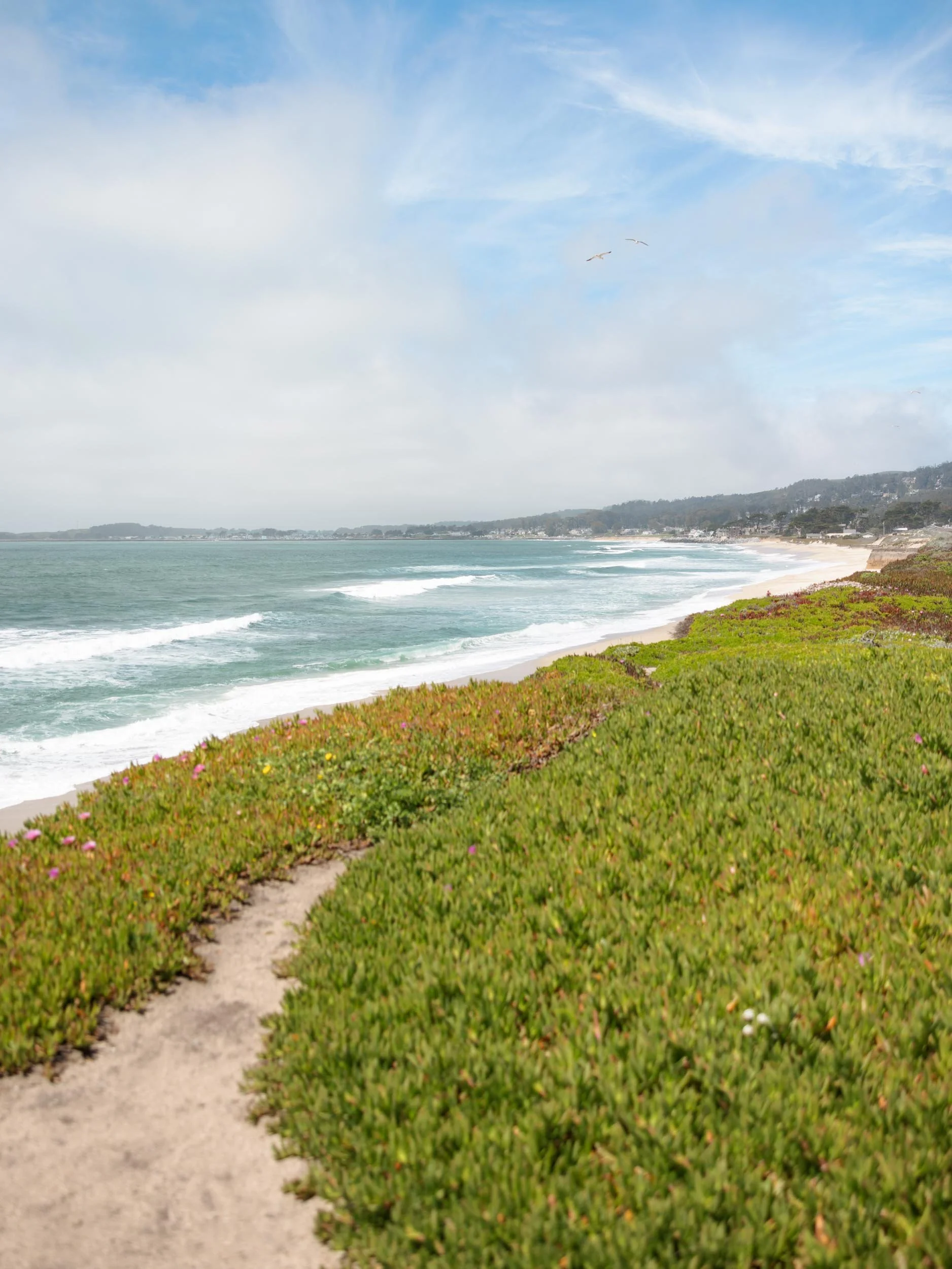 Best Things To Do in Half Moon Bay