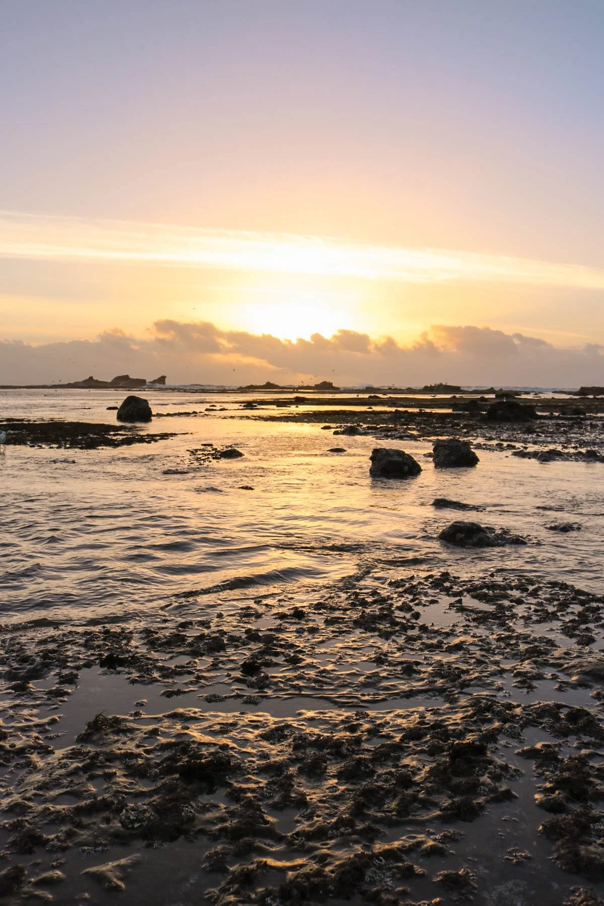 Best Things To Do in Half Moon Bay