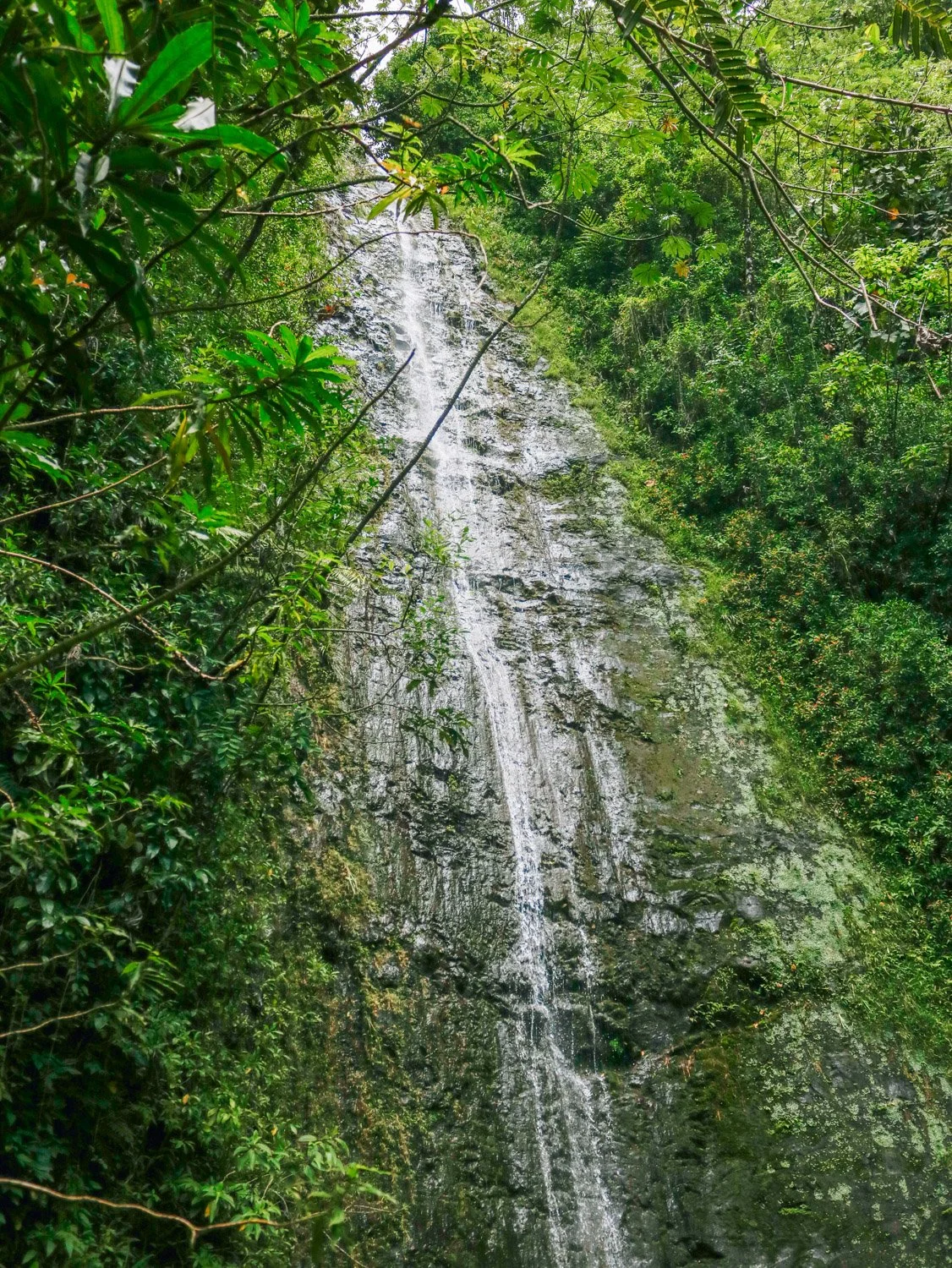 Where to Stay in Oahu: Best Areas and Hotels