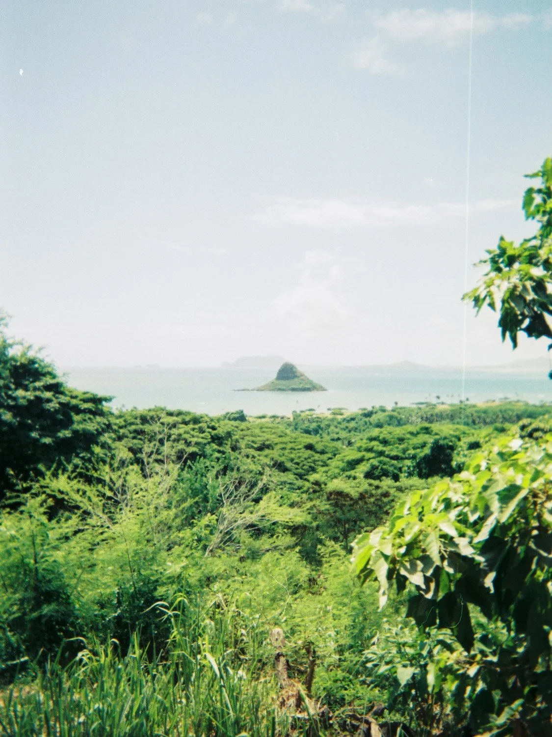 Ultimate Hawaii Packing List for Every Island