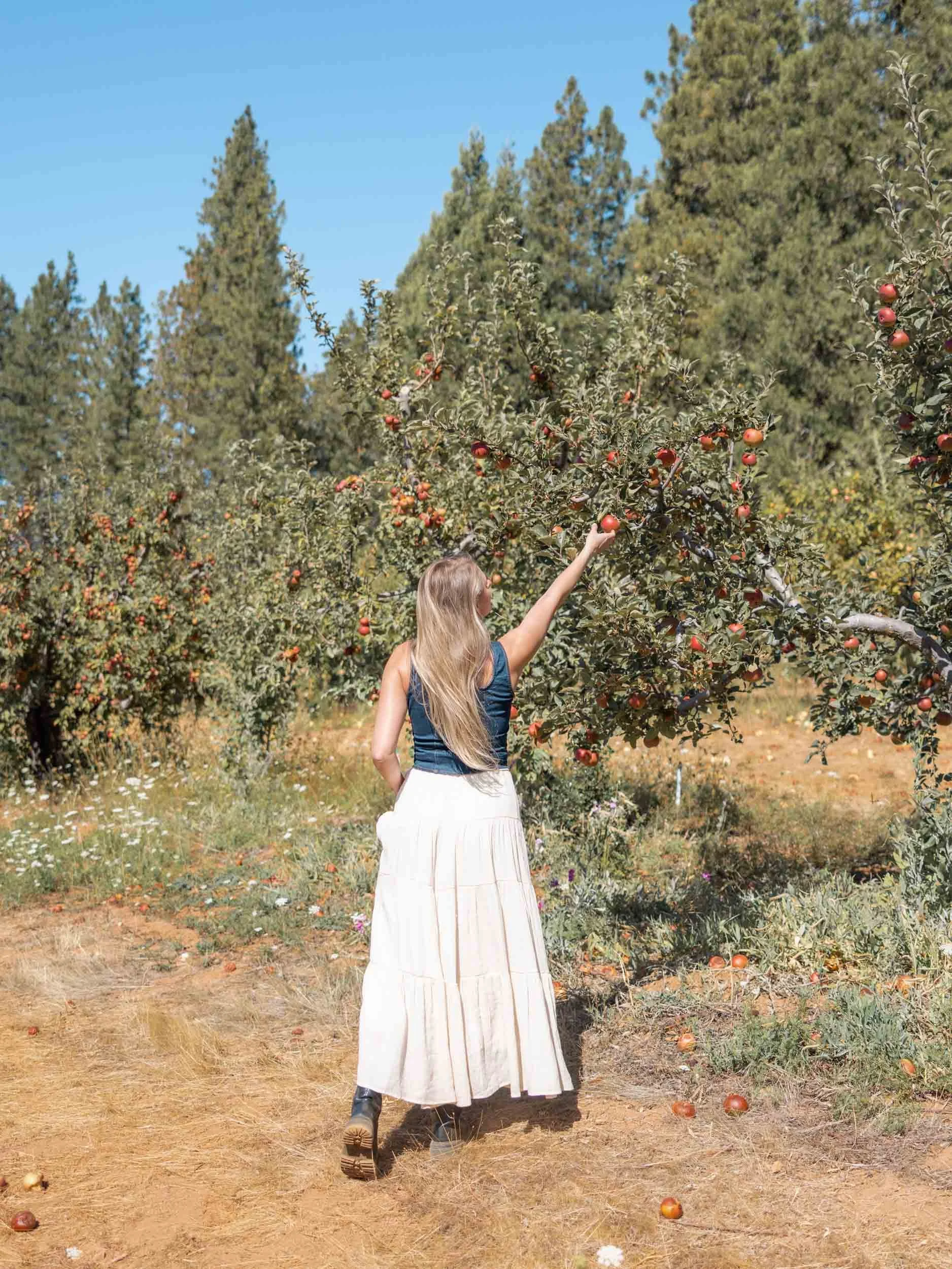 Unique Things To Do in California