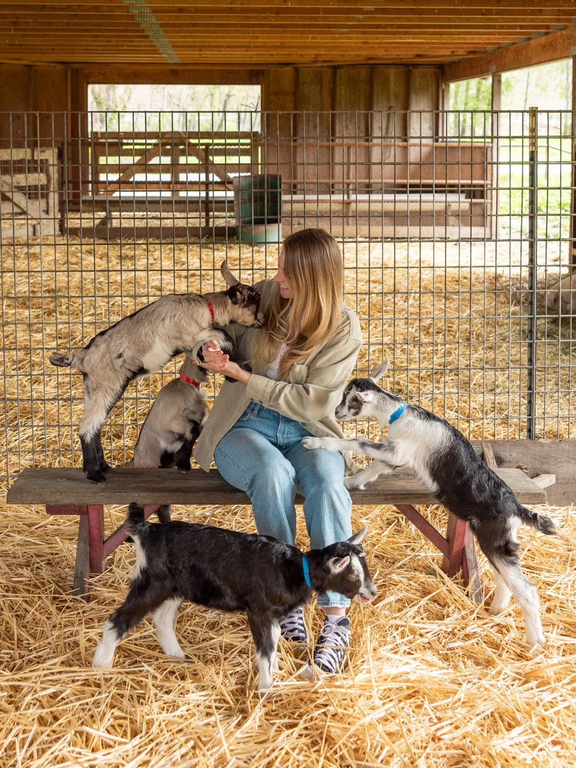 Best Things To Do in Pescadero, California