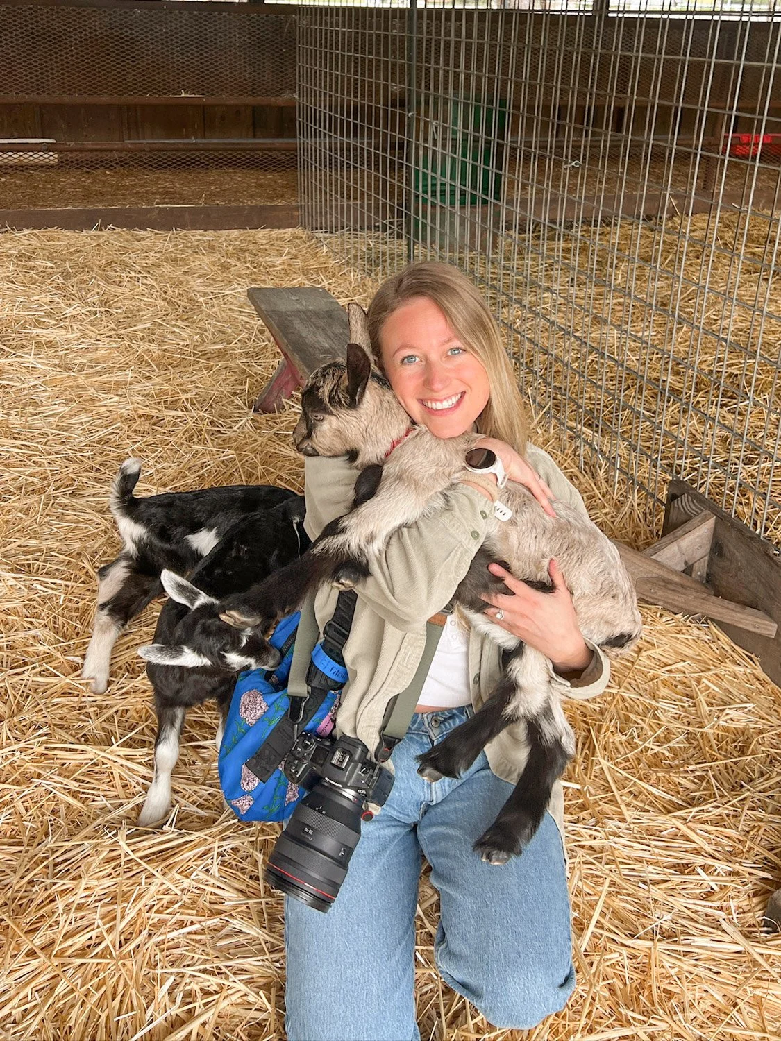 Best Things To Do in Pescadero, California