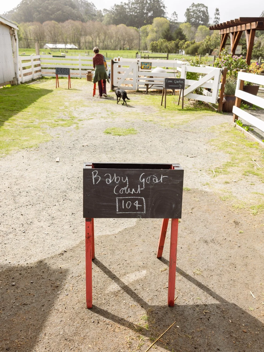 Best Things To Do in Pescadero, California