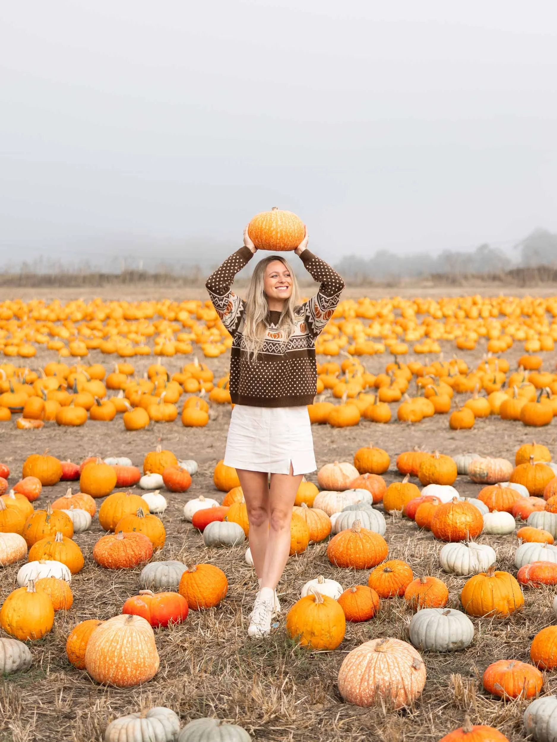 Best Things To Do in Pescadero, California