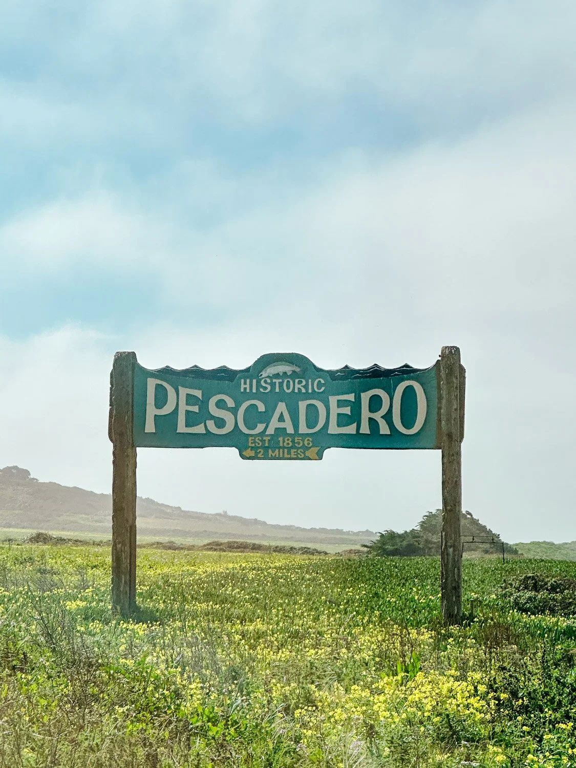 Best Things To Do in Pescadero, California