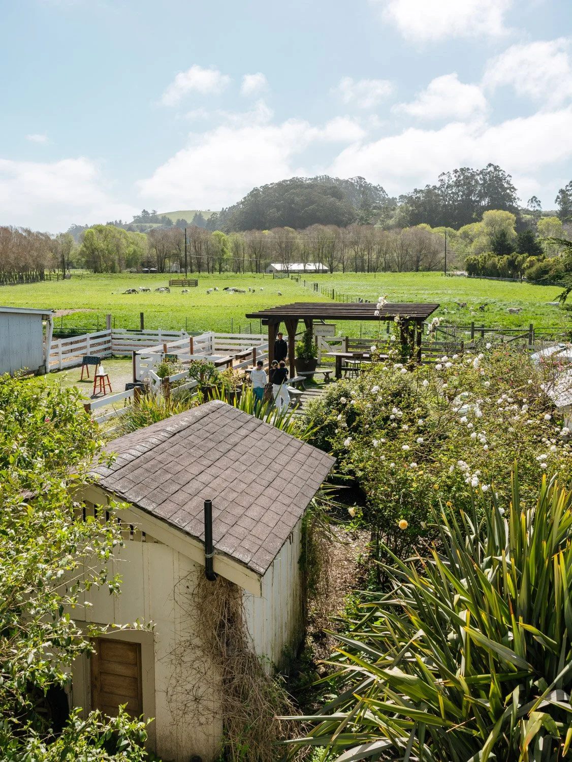 Best Things To Do in Pescadero, California