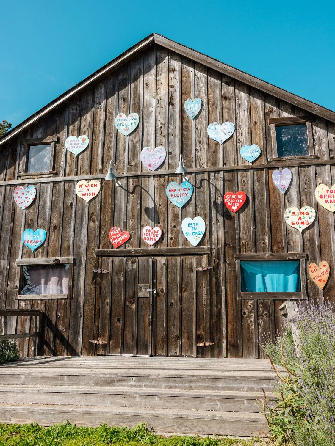 10 Best Things To Do in Pescadero, California