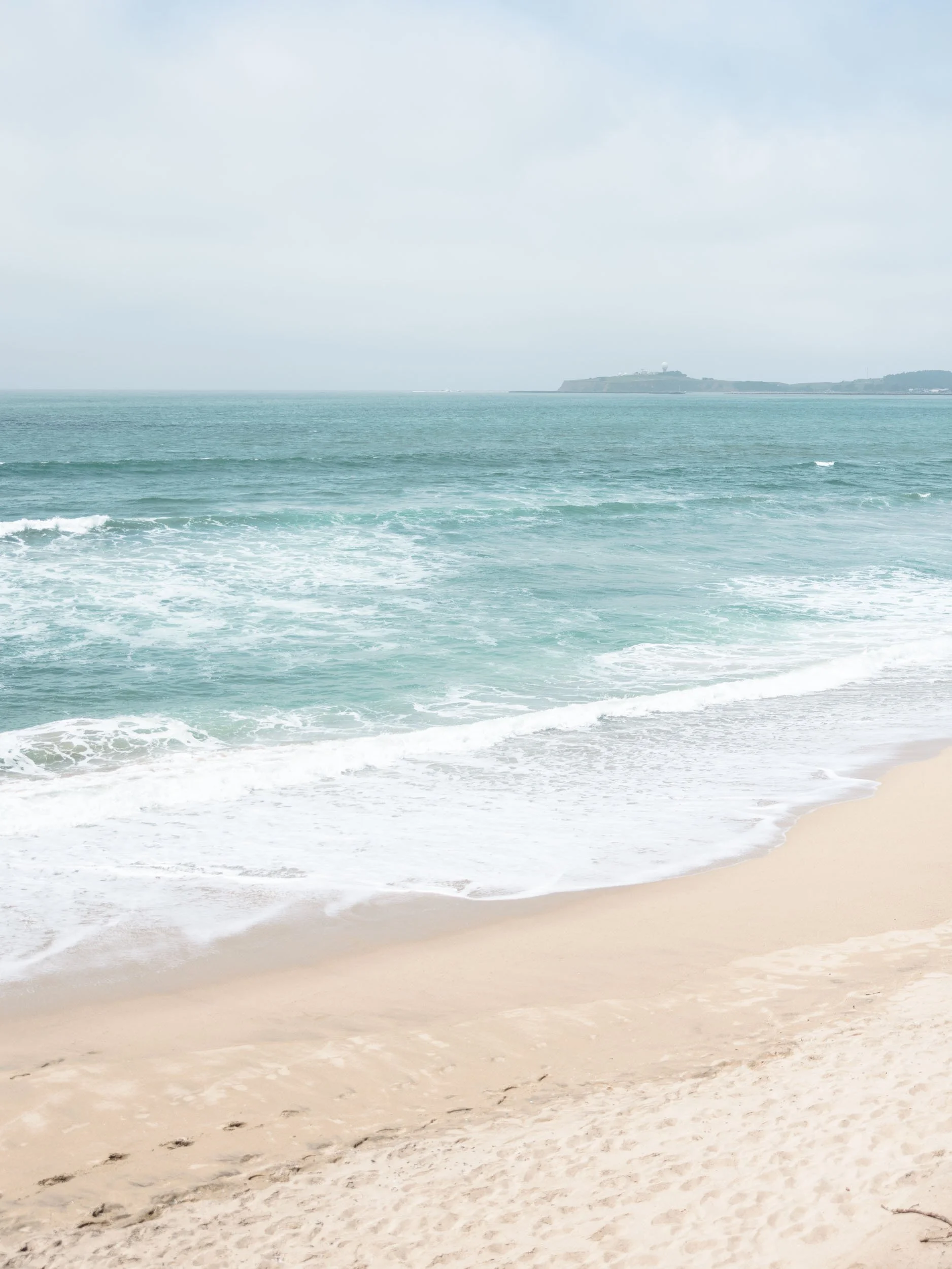 The Perfect Day Trip to Half Moon Bay, California