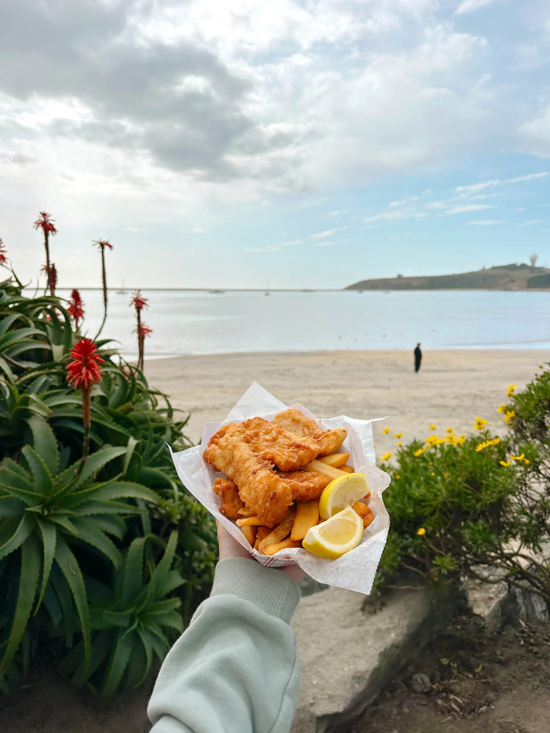 The Perfect Day Trip to Half Moon Bay, California