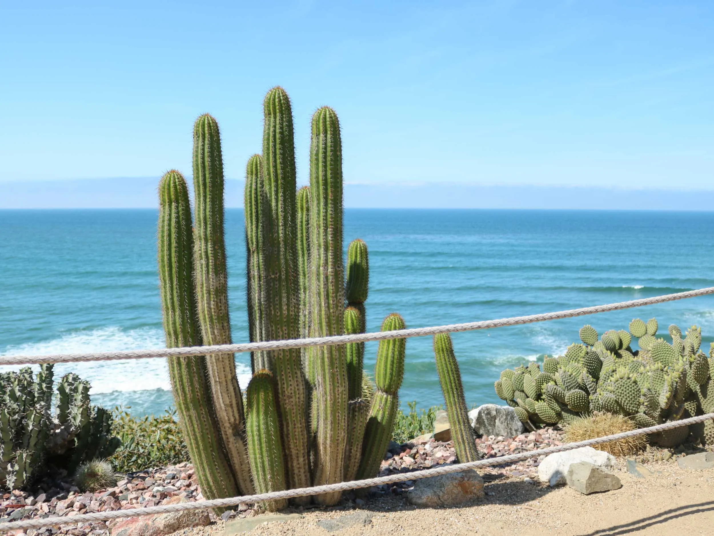 Best Places to Visit in California in Summer