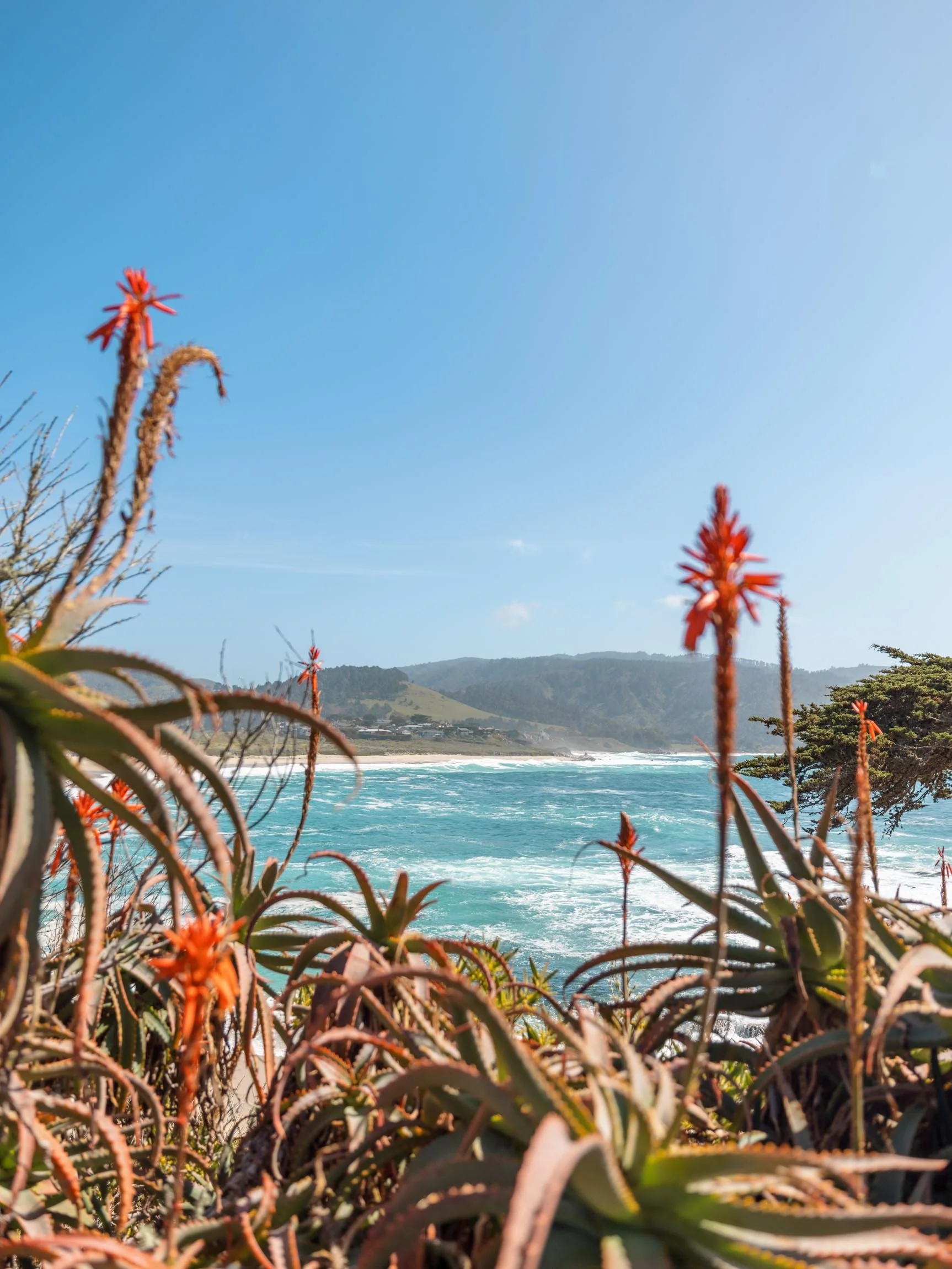 Best Places to Visit in California in Summer