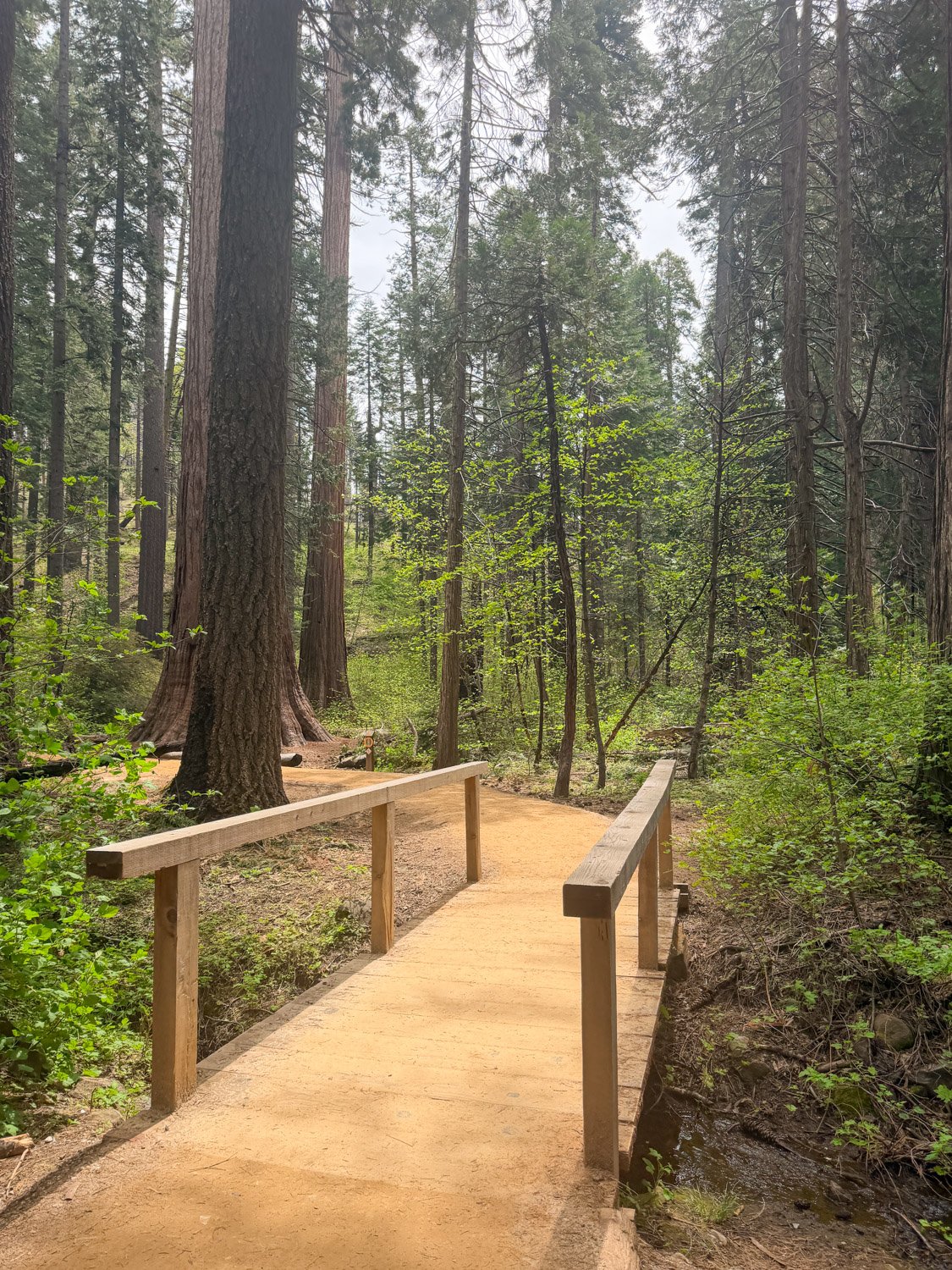 Best Places to Visit in California in Summer