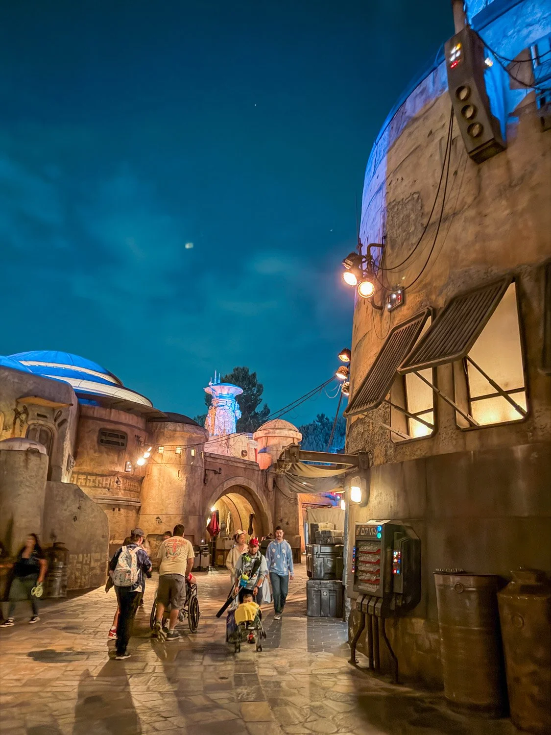 Ultimate Guide to Disneyland for First-Timers