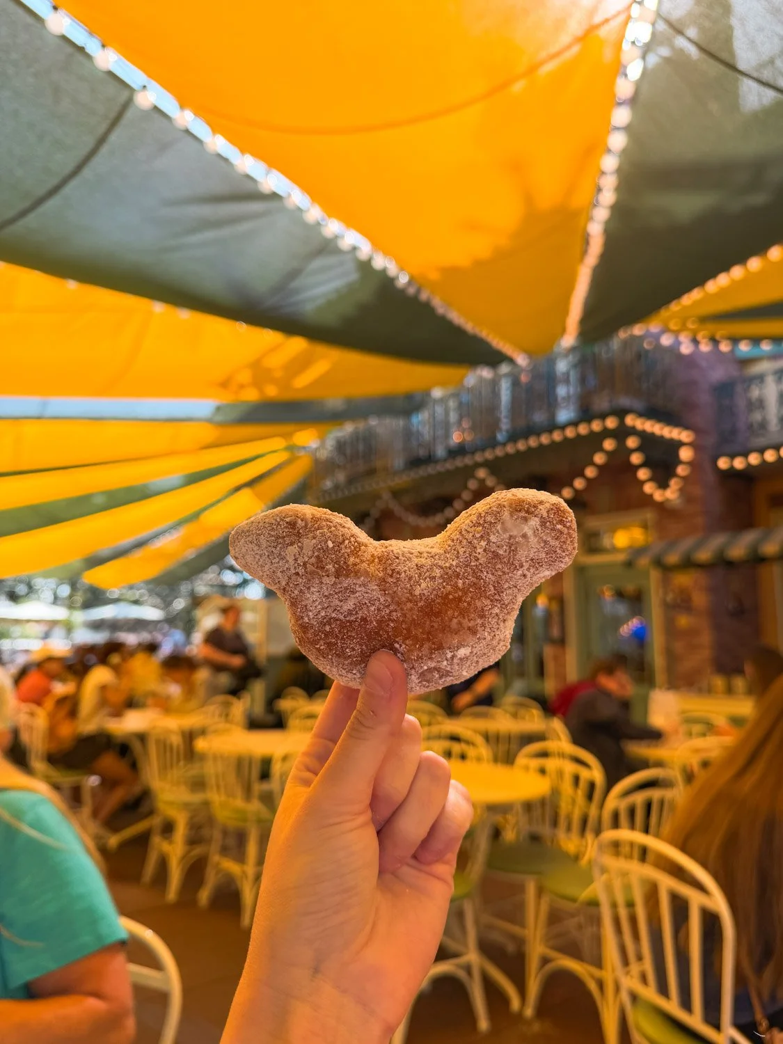 Ultimate Guide to Disneyland for First-Timers