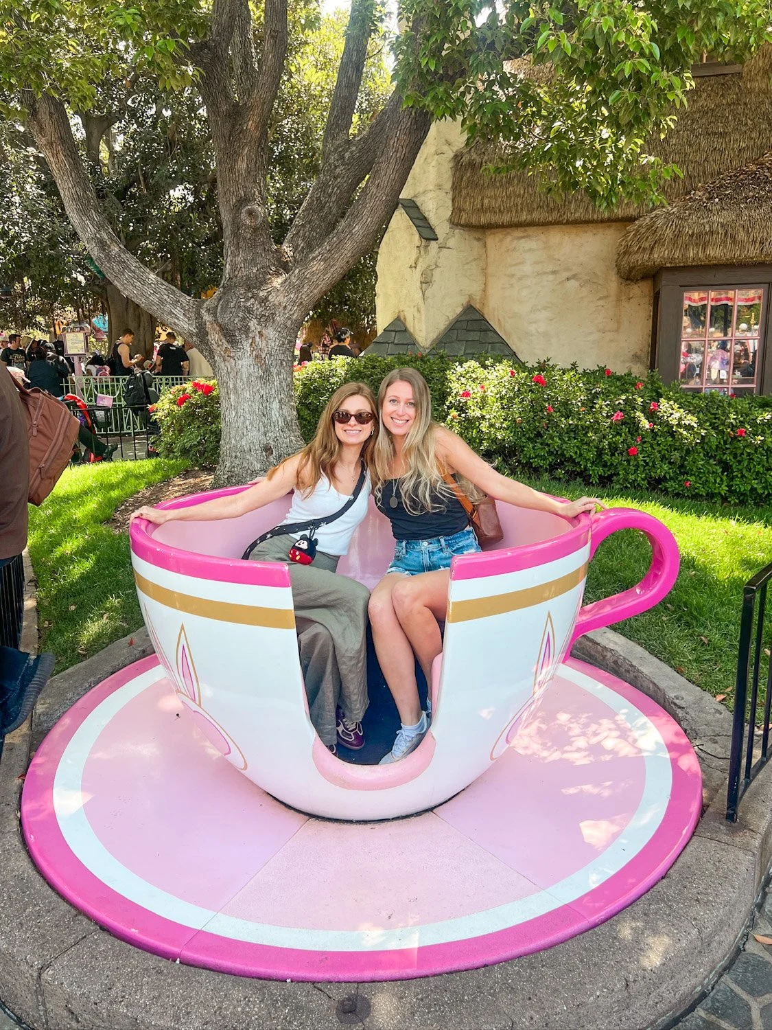Ultimate Guide to Disneyland for First-Timers