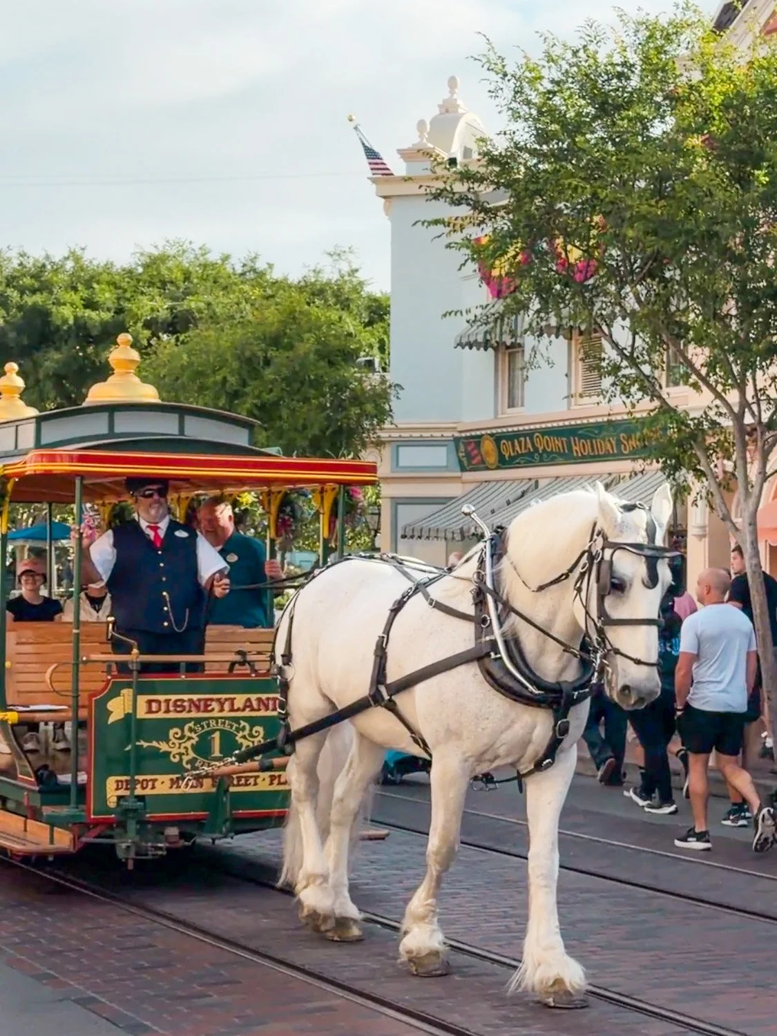 Disneyland vs. Disney California Adventure