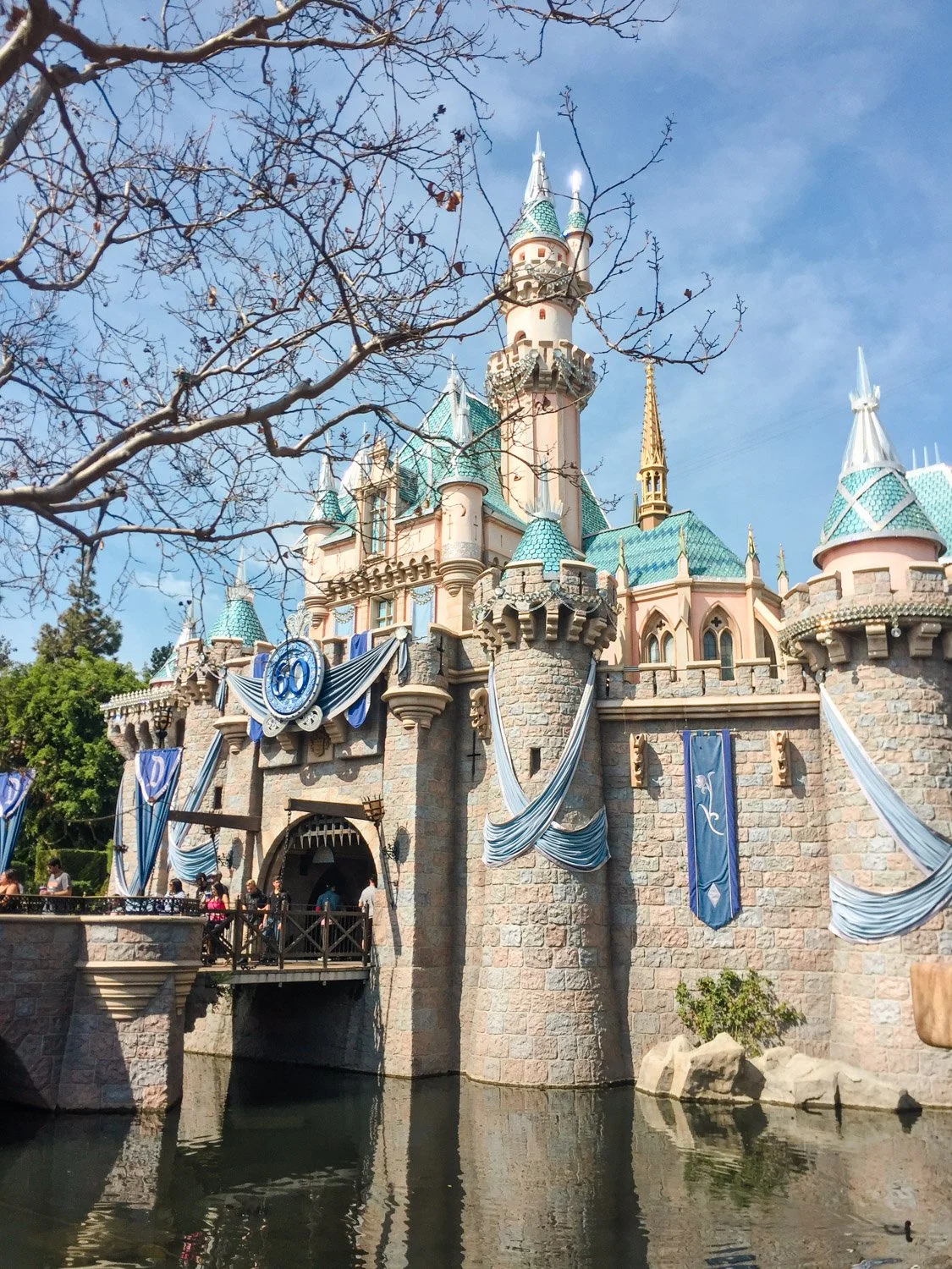 Disneyland vs. Disney California Adventure