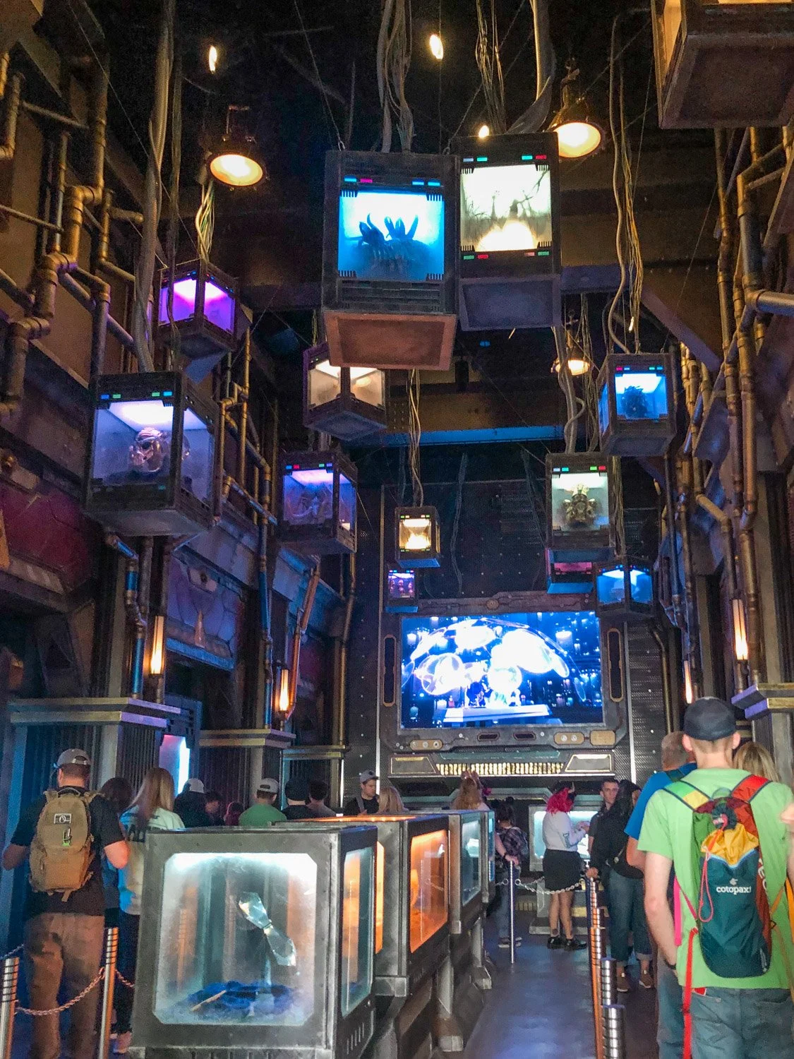 Disneyland vs. Disney California Adventure