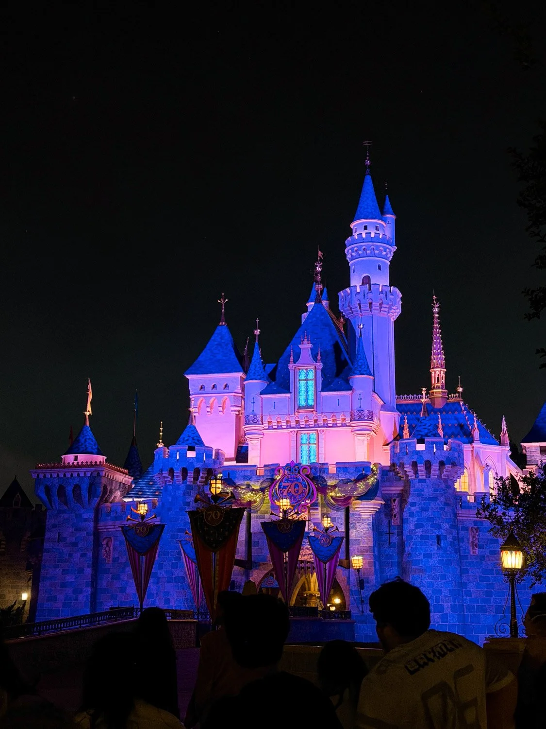 3-Day Disneyland Resort Itinerary