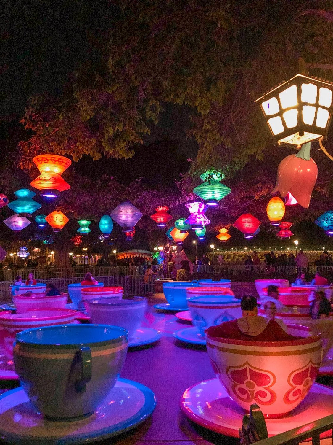 3-Day Disneyland Resort Itinerary