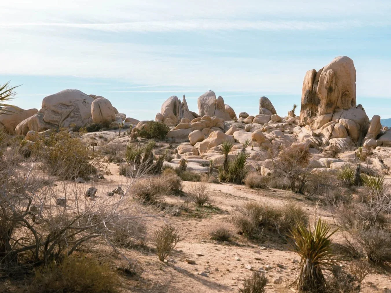 Palm Springs Weekend Getaway: 3-Day Itinerary