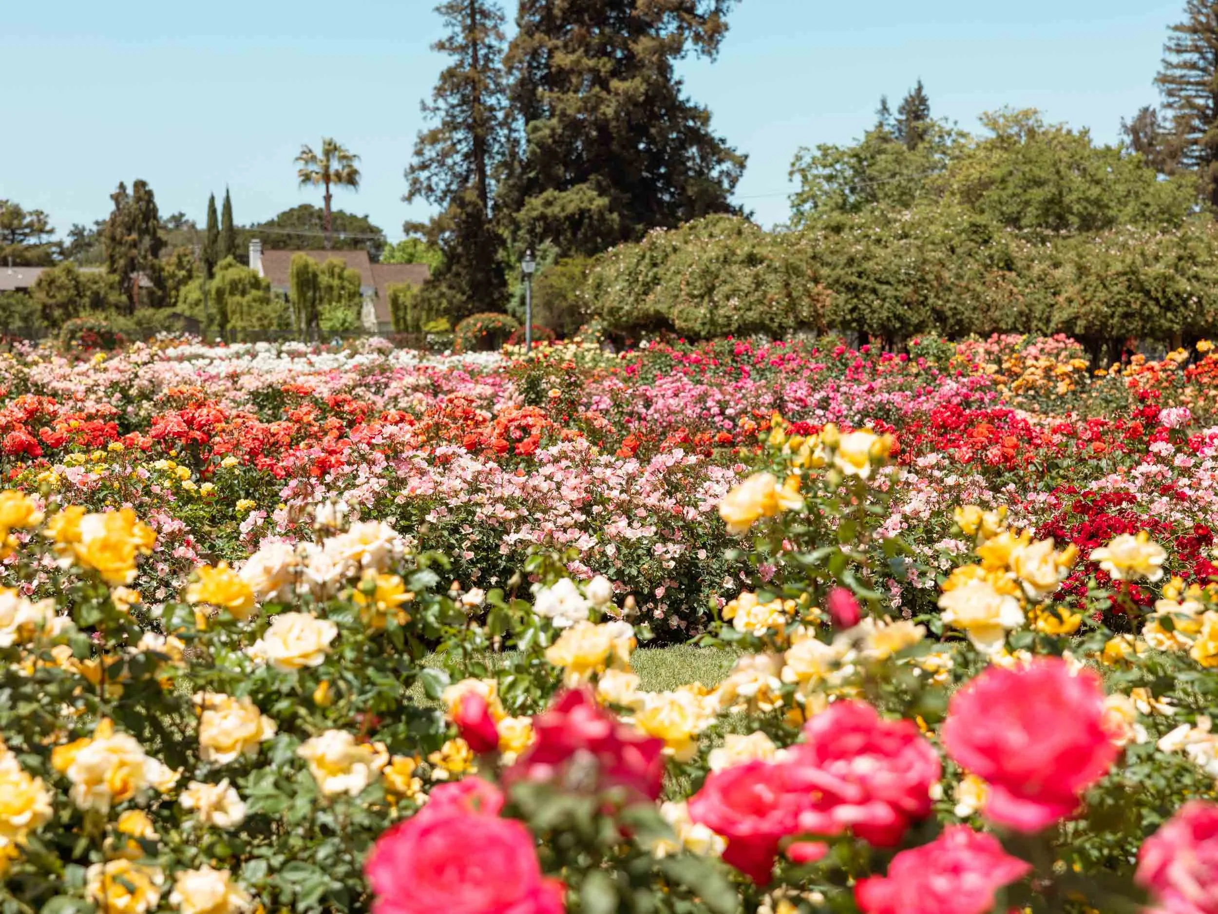 Unique Things To Do in California