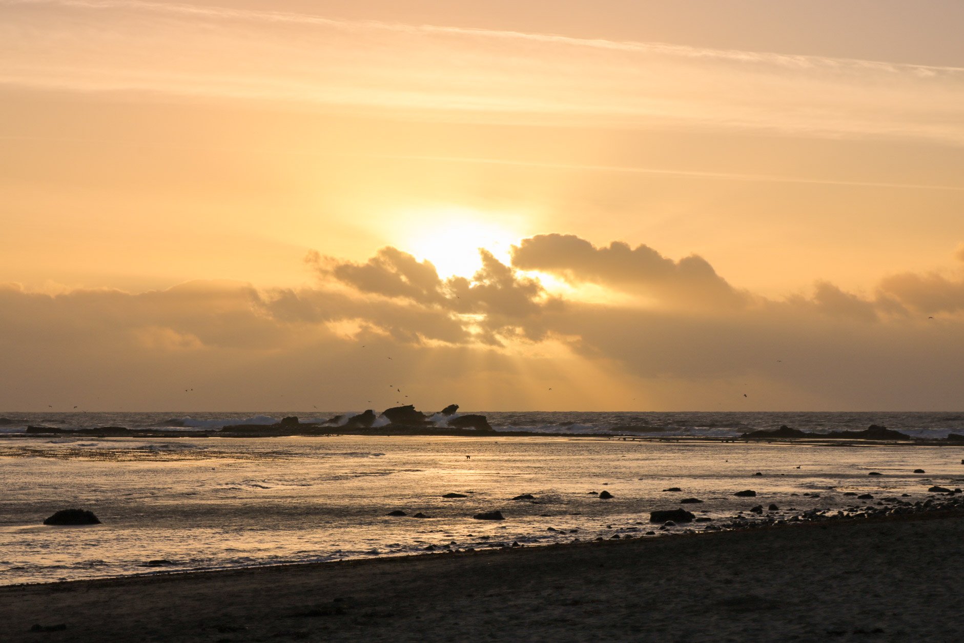 Best Things To Do in Half Moon Bay, California