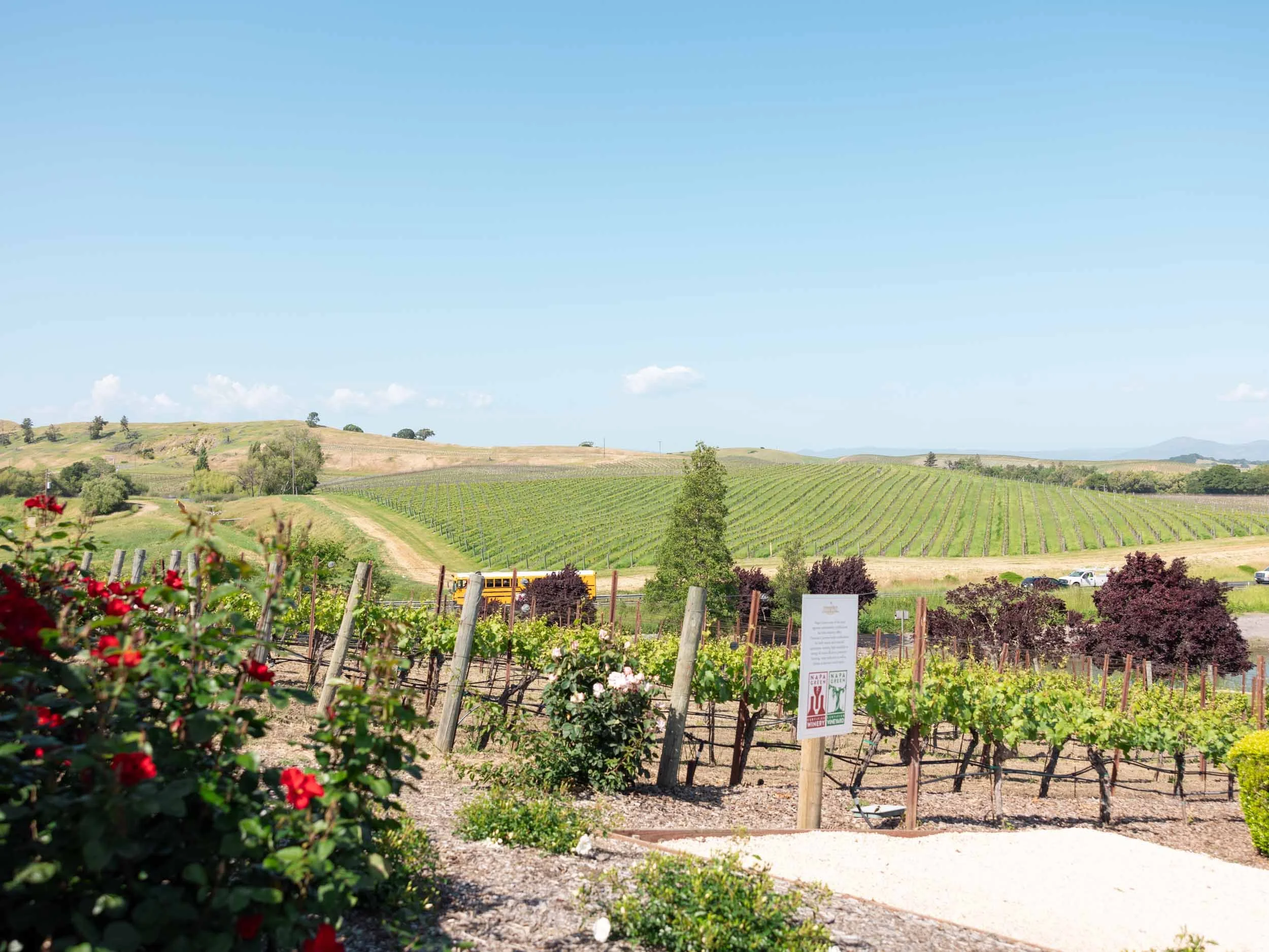 Best Places to Visit in California in Summer