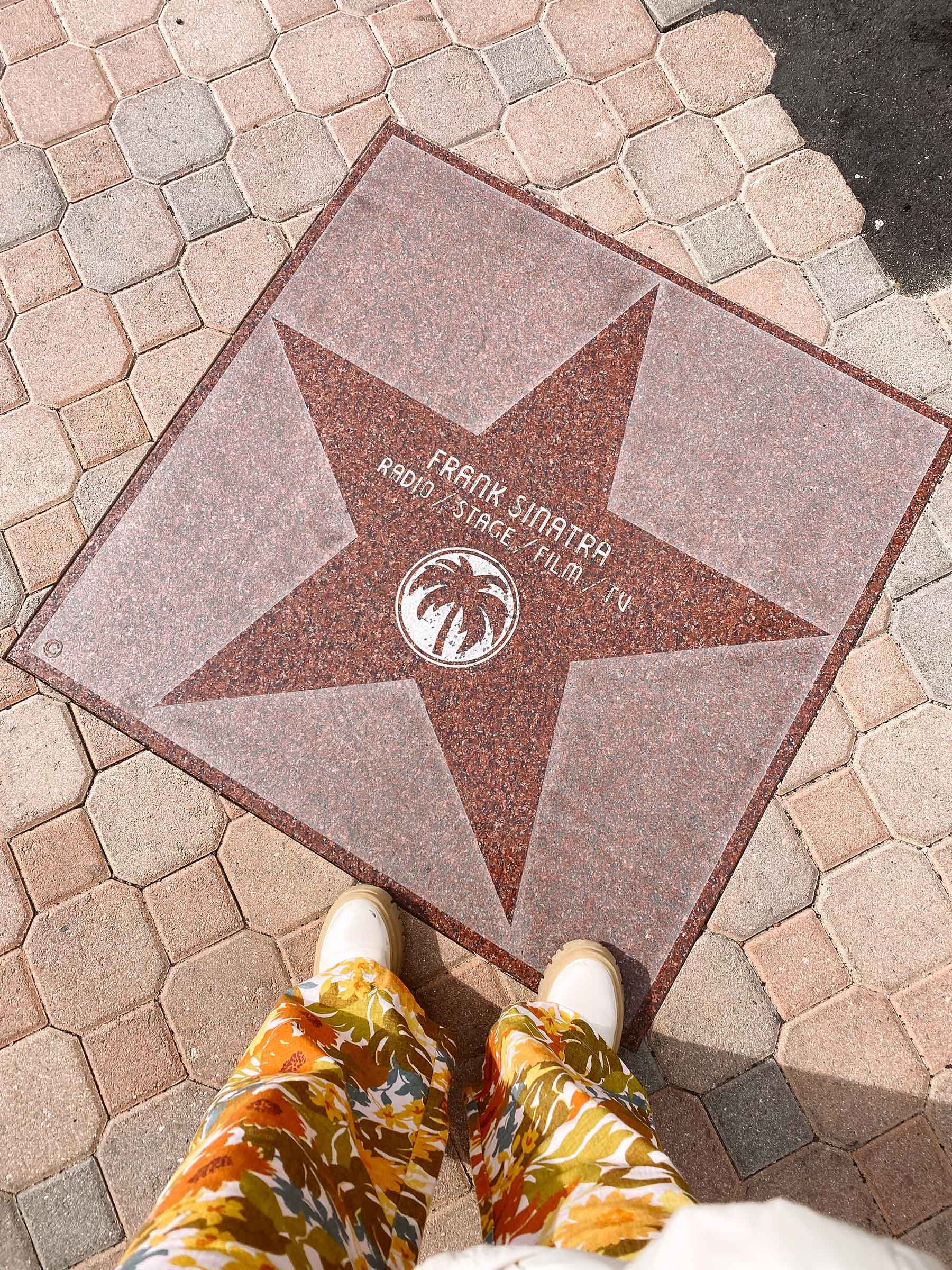 Marilyn Monroe's Star on the Palm Springs Walk of Stars - Public Art in  Downtown Palm Springs