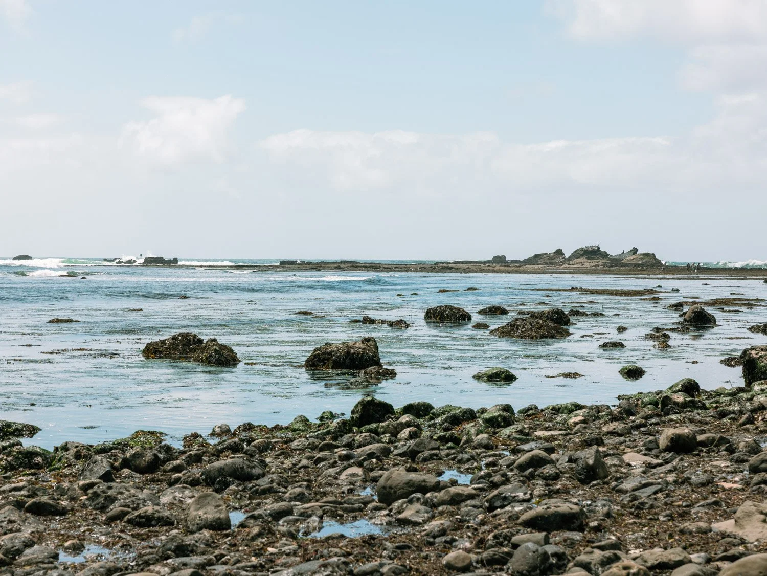 Best Things To Do in Half Moon Bay, California