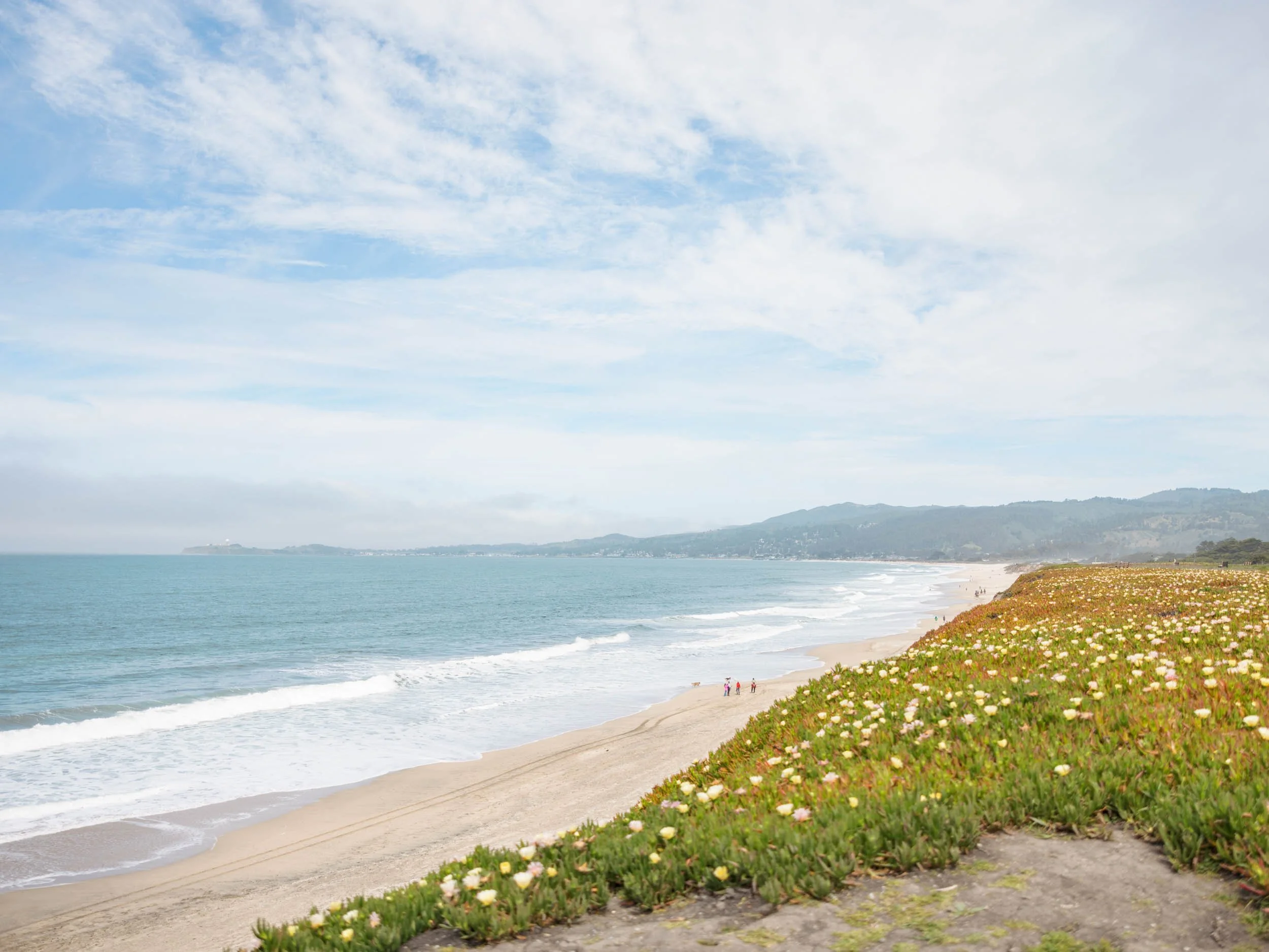 Best Places to Visit in California in Summer