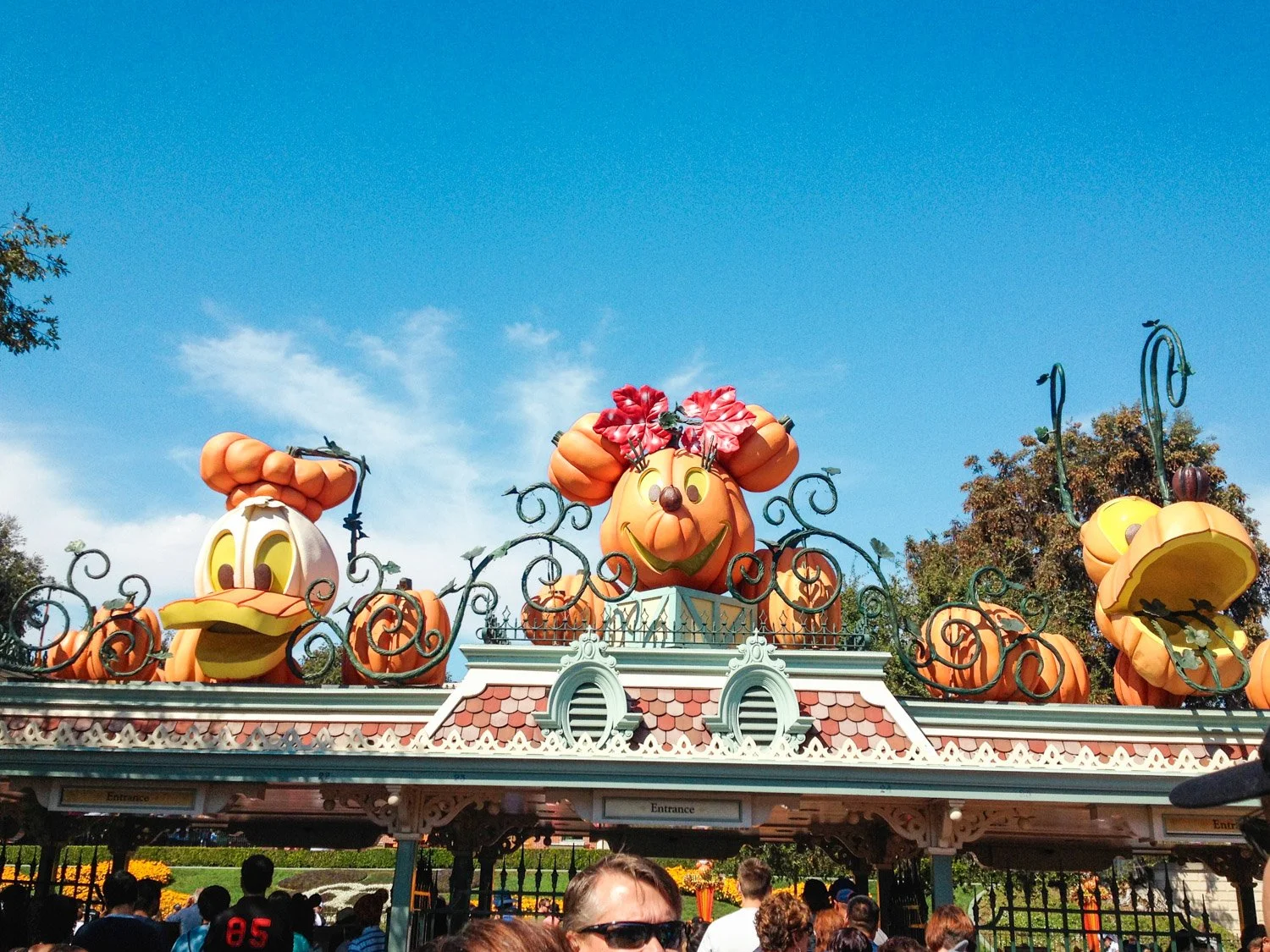 Ultimate Guide to Disneyland for First-Timers