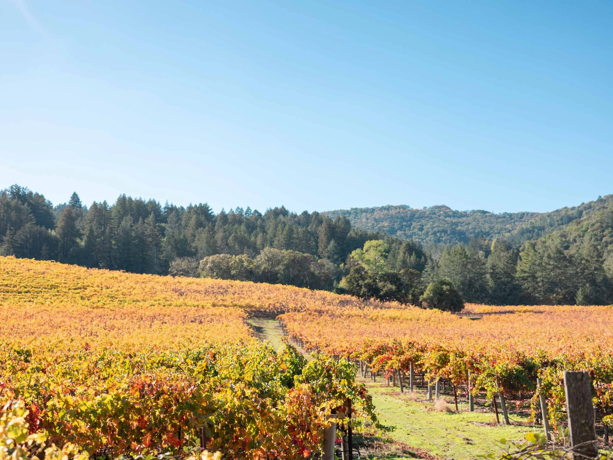 Best Places to Visit in California in Summer