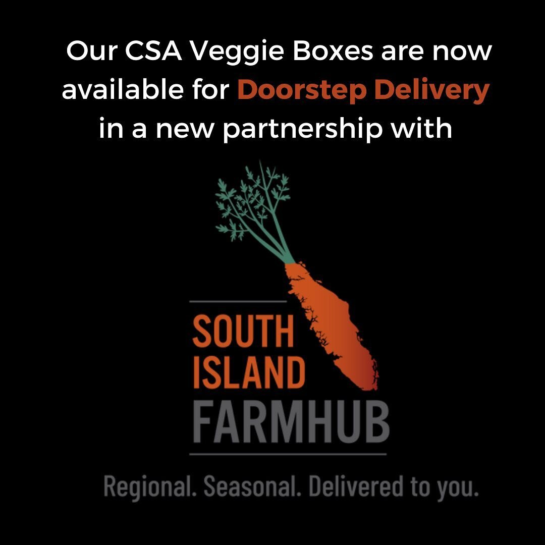 With the help of @southislandfarmhub we are so excited to now offer delivery straight to your doorstep! CSA Members who choose delivery at checkout can also access FARMHUB&rsquo;s webstore and add items like seafood, meat, eggs, and bread to their Ve