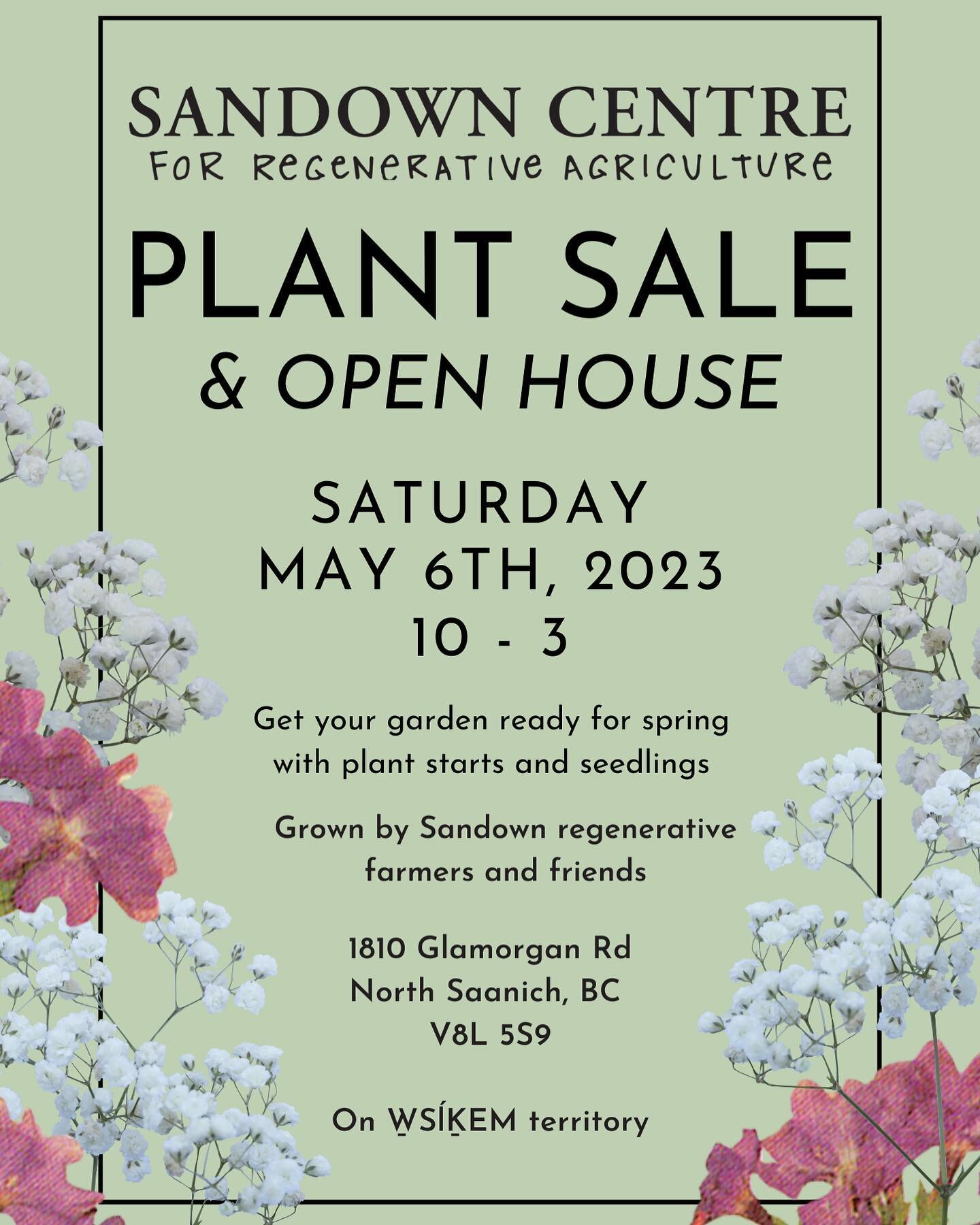 Come check out our Plant Sale across the street at @sandowncentre this Sat May 6th 10-3pm! We&rsquo;ll have strawberries, chives, lettuce, spinach, chard, basil, peppers, eggplants, and tomatoes available to buy and ready to be planted or potted up f