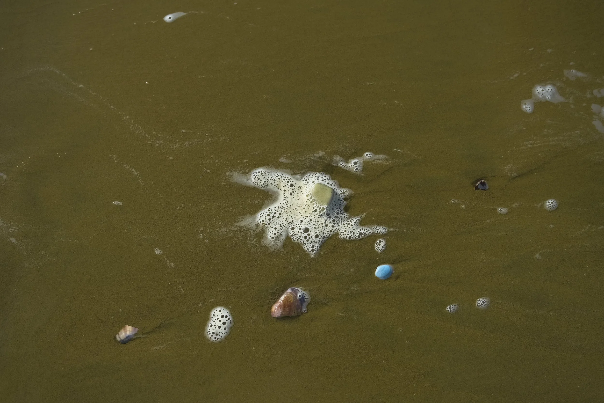 DSCF4552.jpg