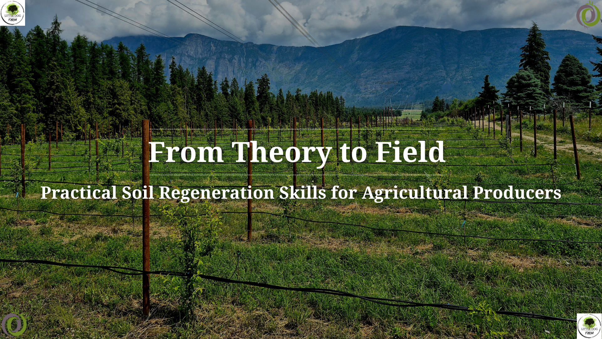 From Theory to Field: Practical Soil Regeneration Skills for Agricultural Producers
