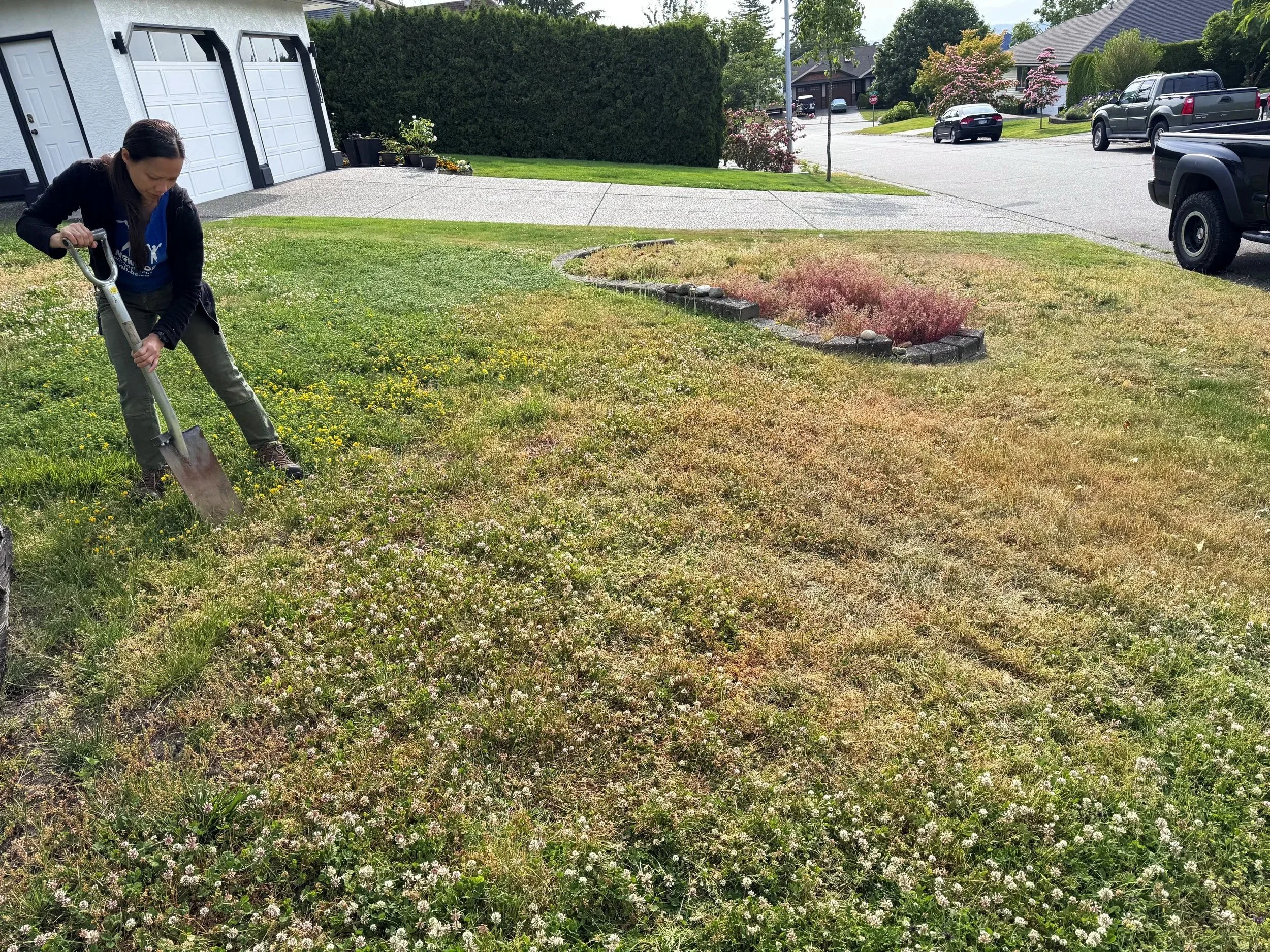 Lots of dead plants. Here I am attempting to pull up soil to inspect.