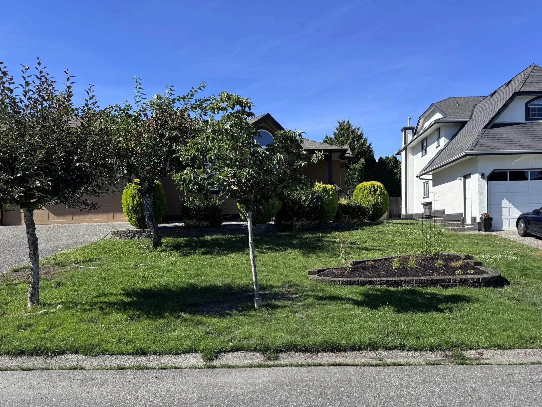 Post-remediation. Grasses have come up really nicely.